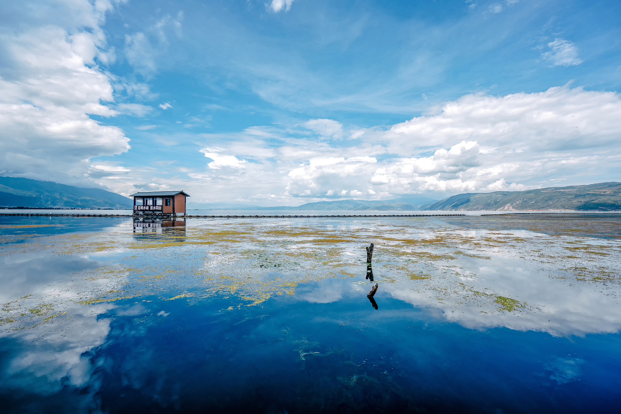 洱海保护政策与畜牧业可持续发展措施 - 保护生态环境，促进畜牧业发展
