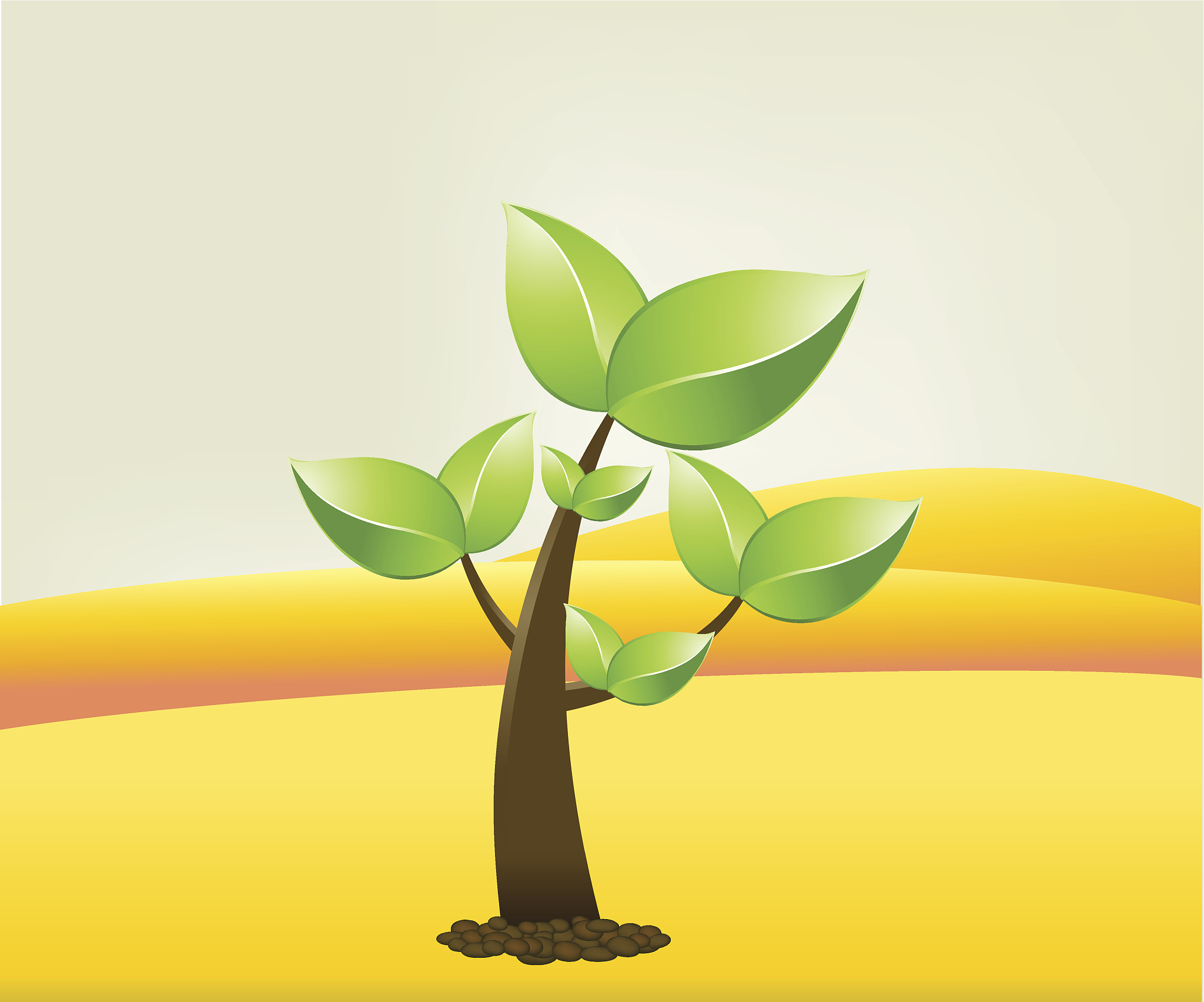 现代物流管理前景有哪些