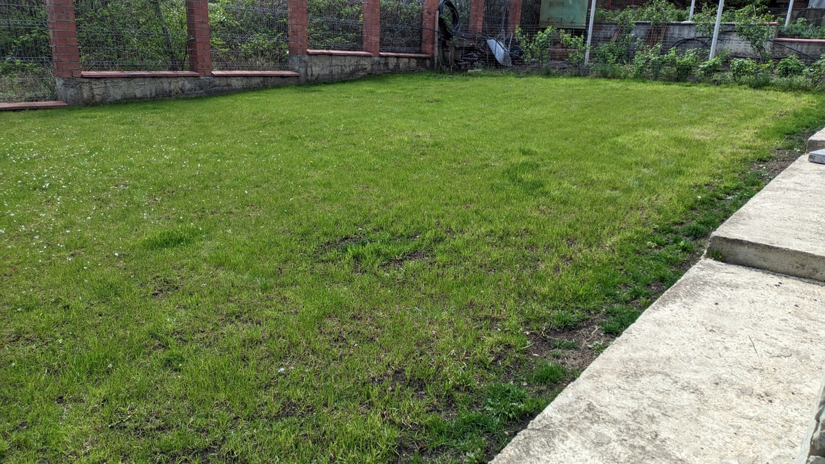 我需要一份去腾讯工作的资深工作简历越离谱越好