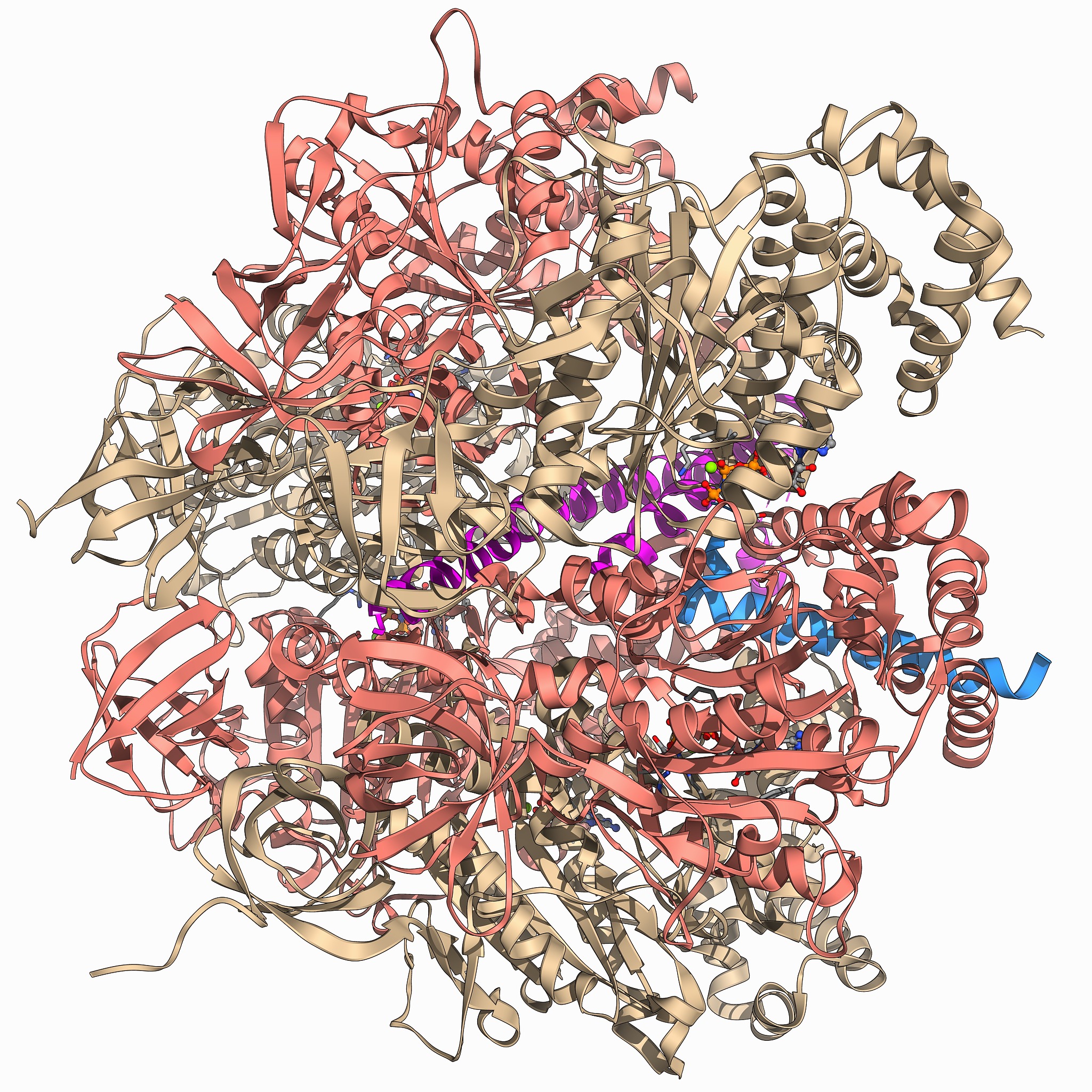 糖酵解产生多少净ATP