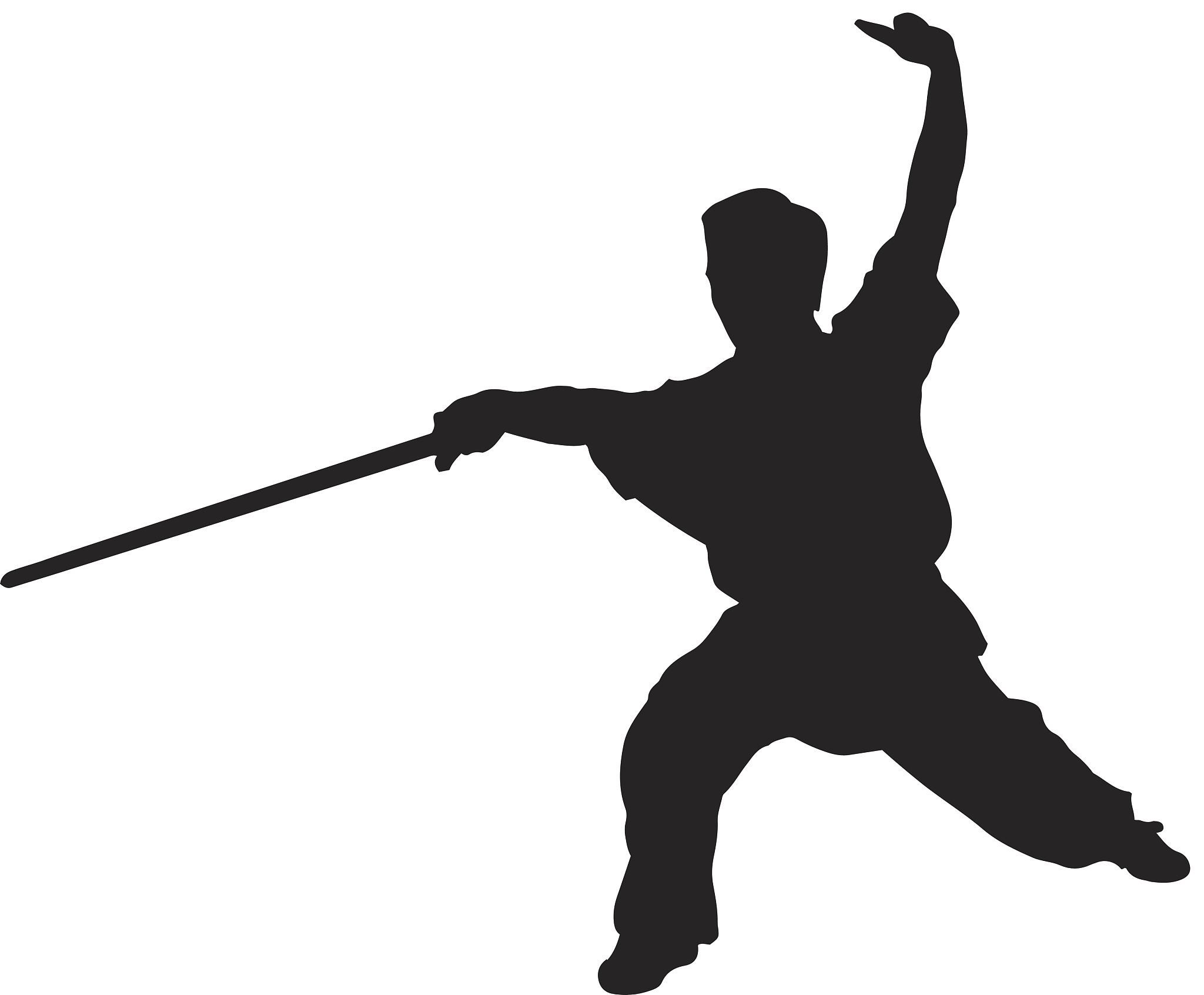 kung fu silhouette