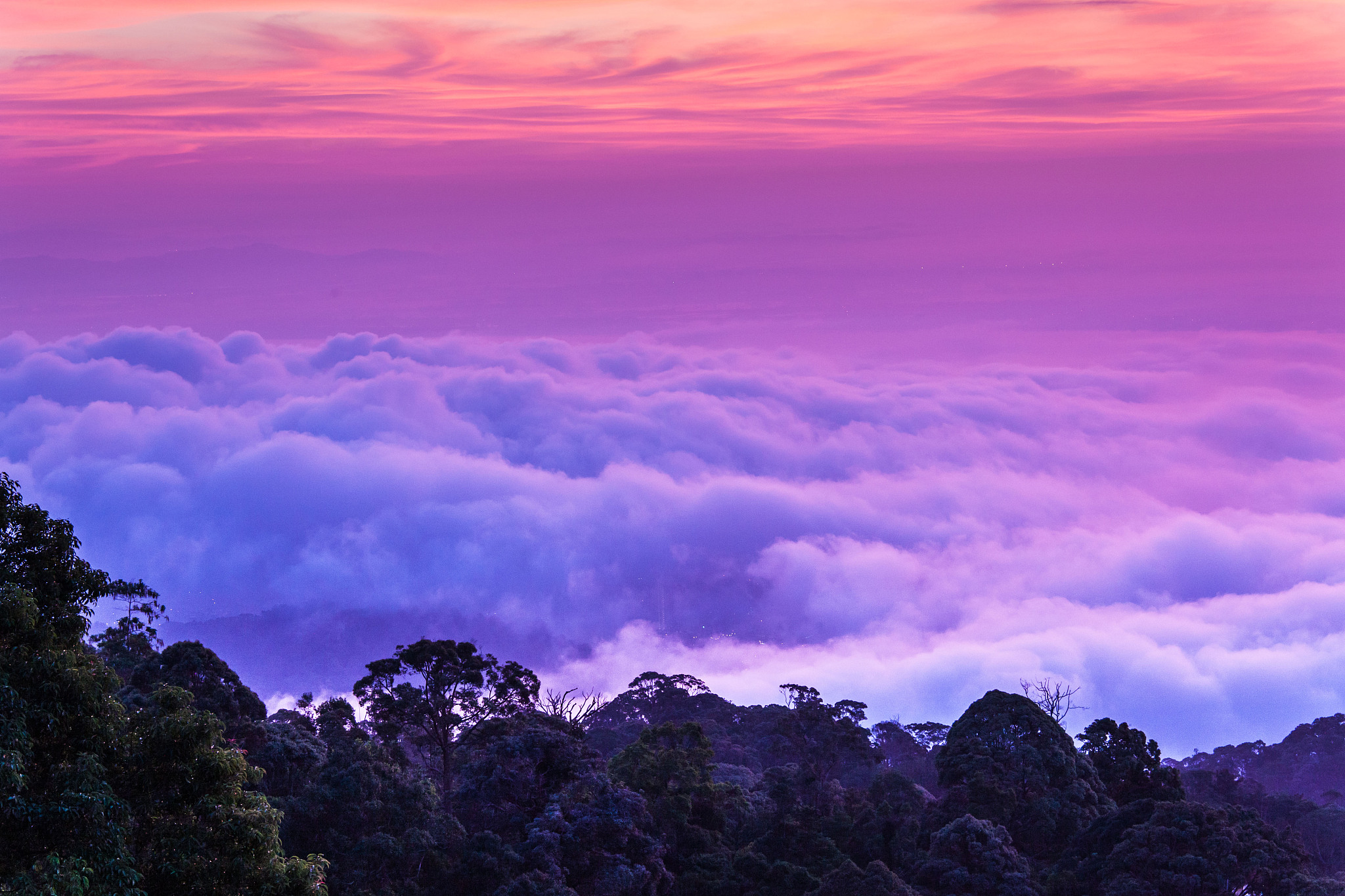 george town city view from penang hill during dawn