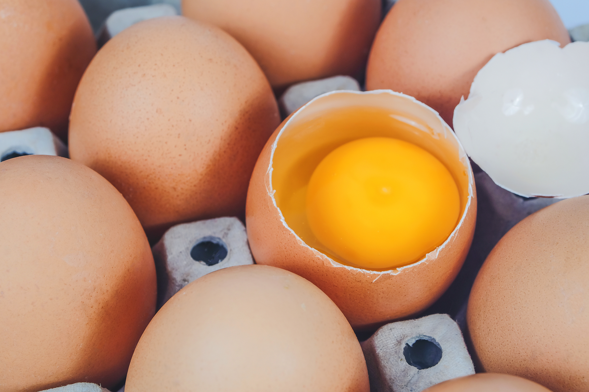 raw chicken eggs in egg box on white background.