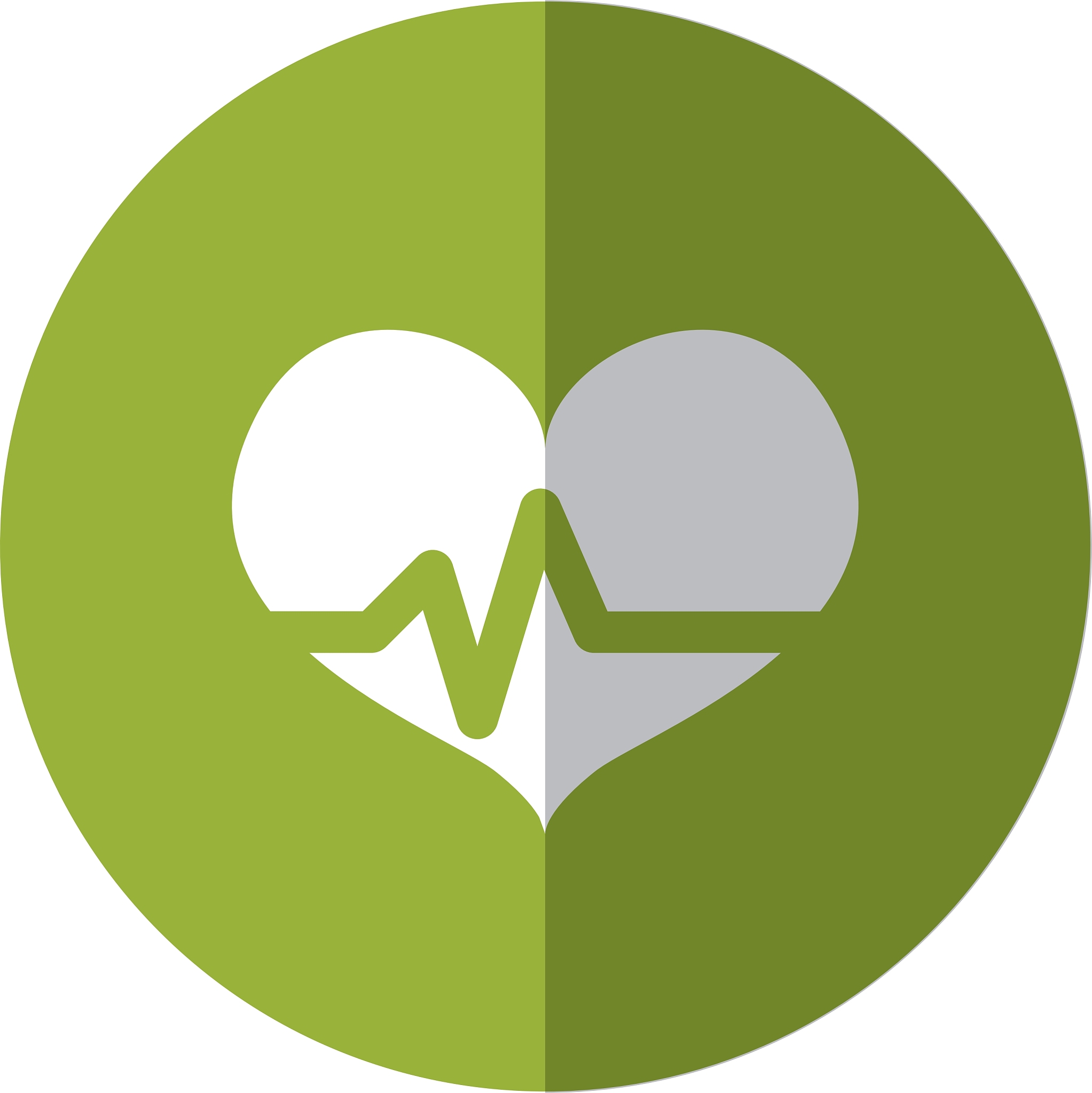 heart cardiogram health icon image