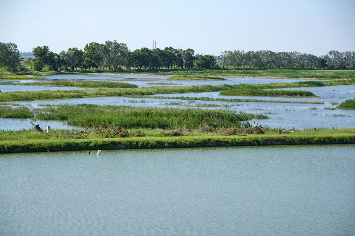 申请国家级重要湿地利与弊