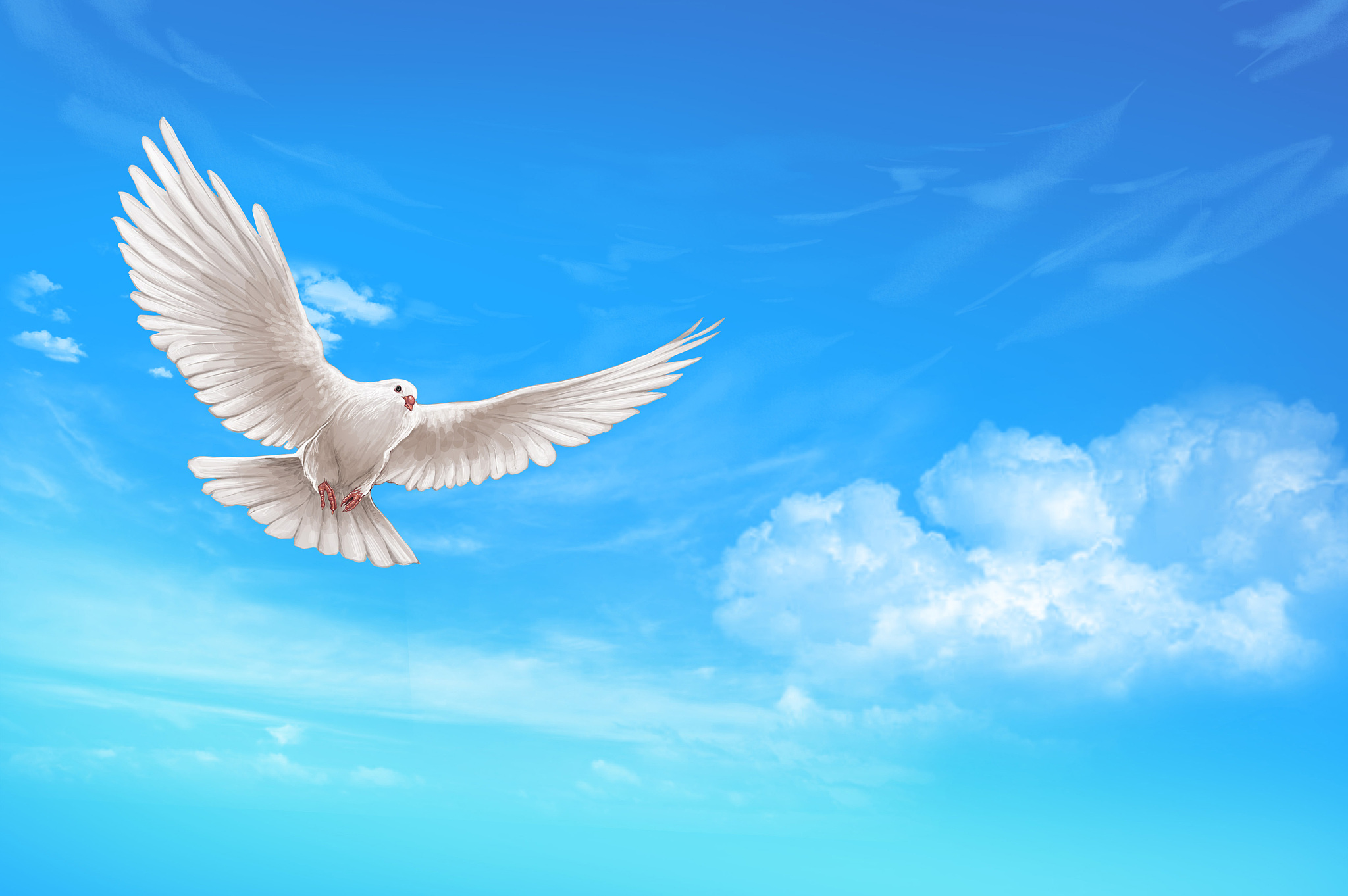 写一个一群鸟在天上飞向往自由的十字文案