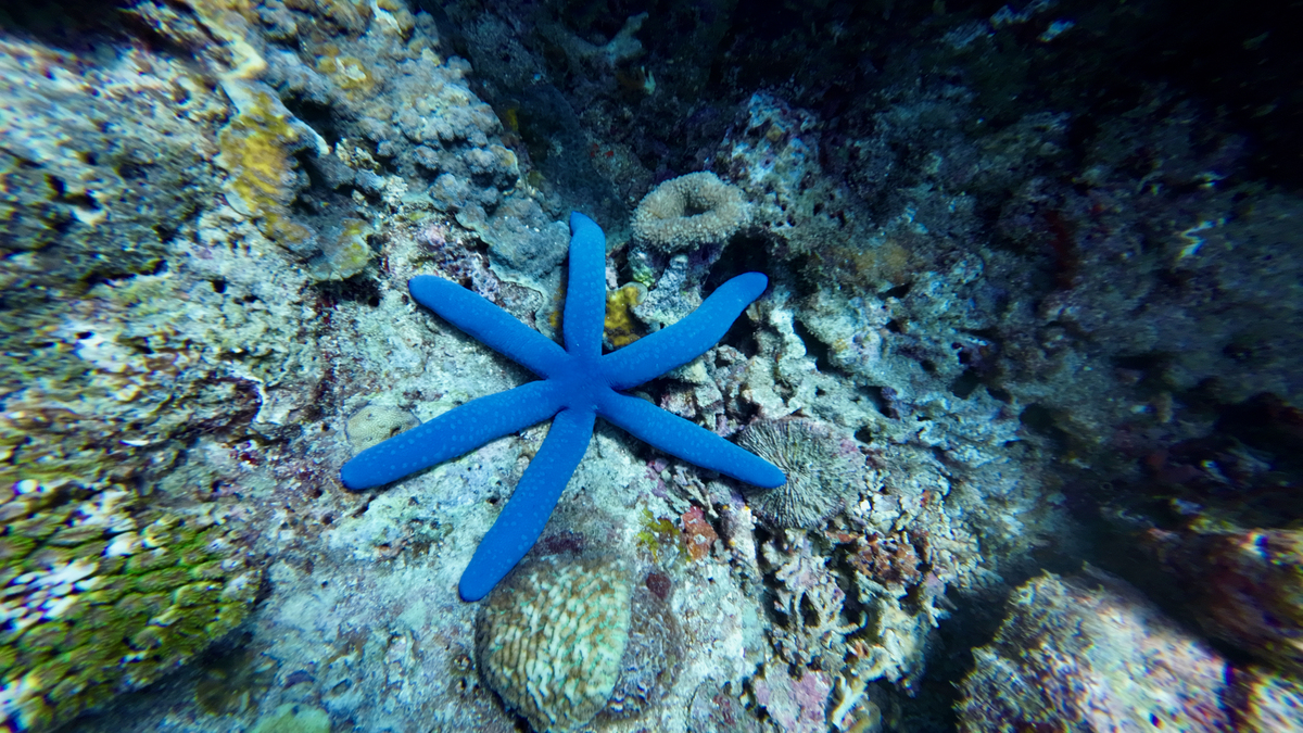 海洋化工技术专业好吗