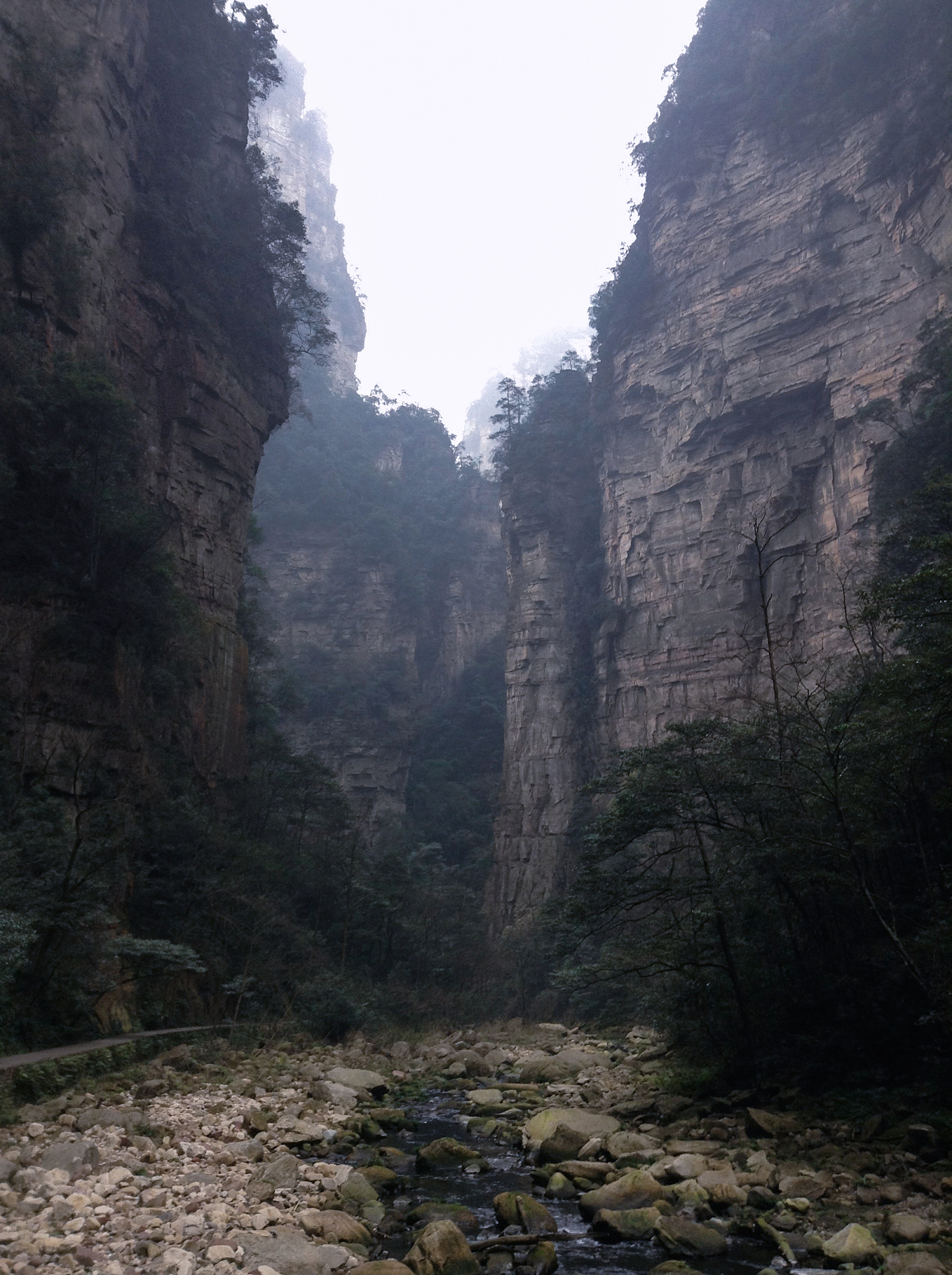 湖南导游服务专业学校哪家强这几所学校别错过!
