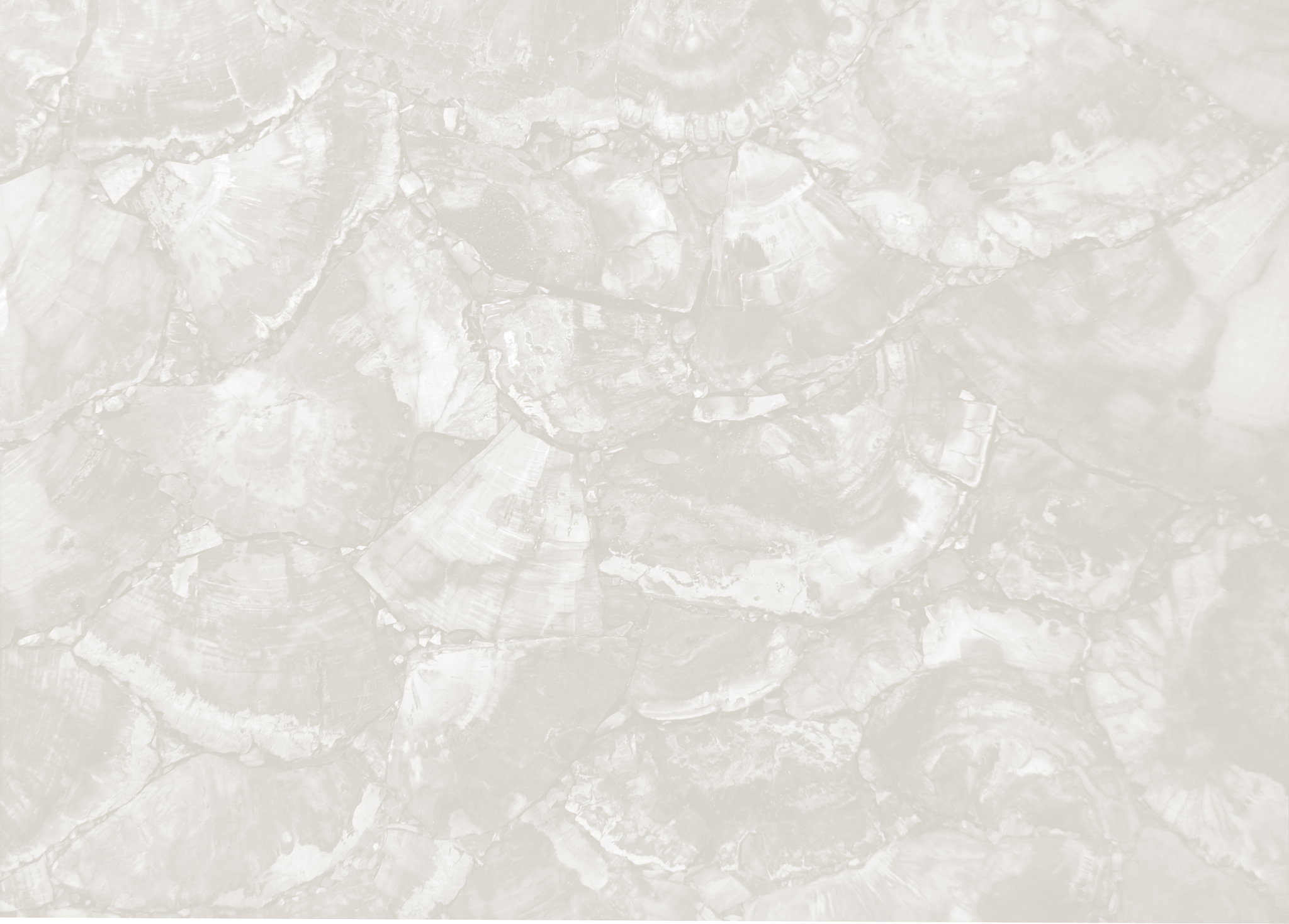 变质岩形成机理