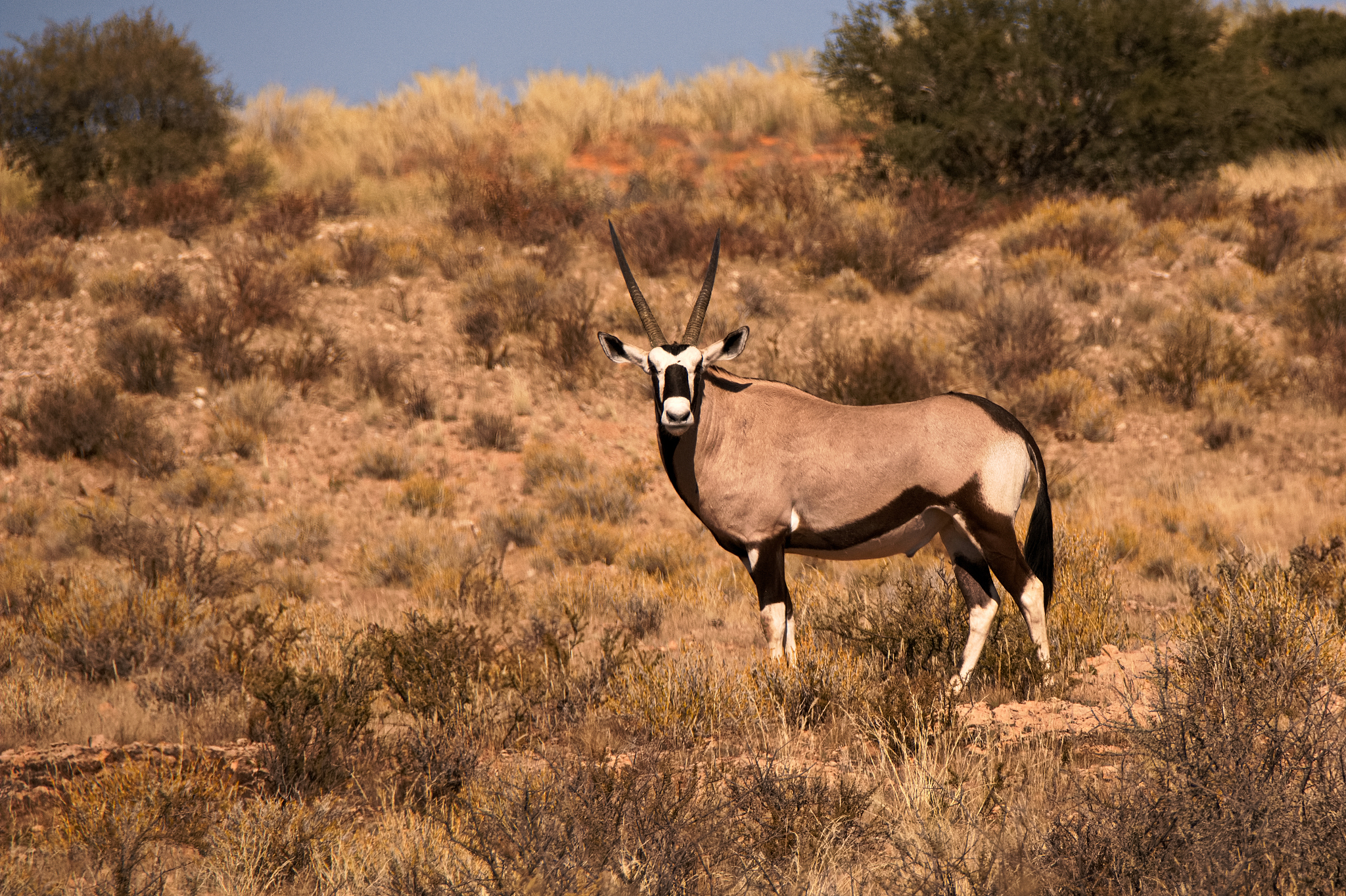 一妻多夫制：哪个国家允许？