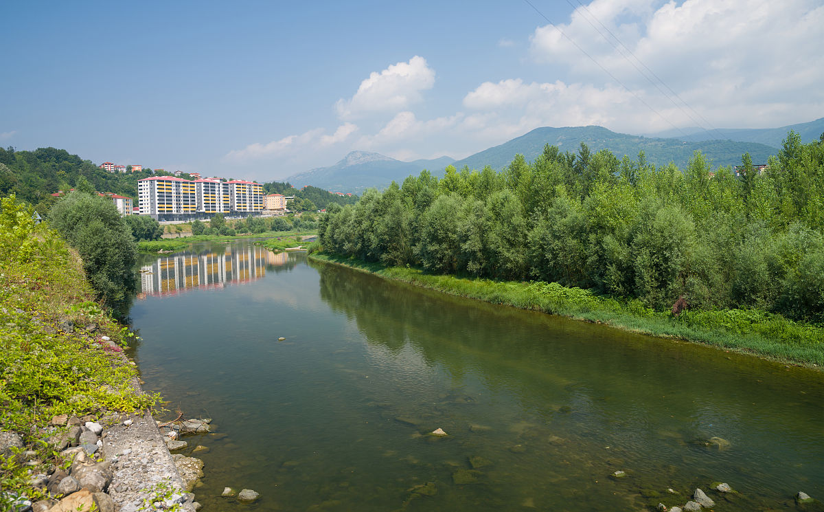 优化河源市生态环境执法，共建绿色家园