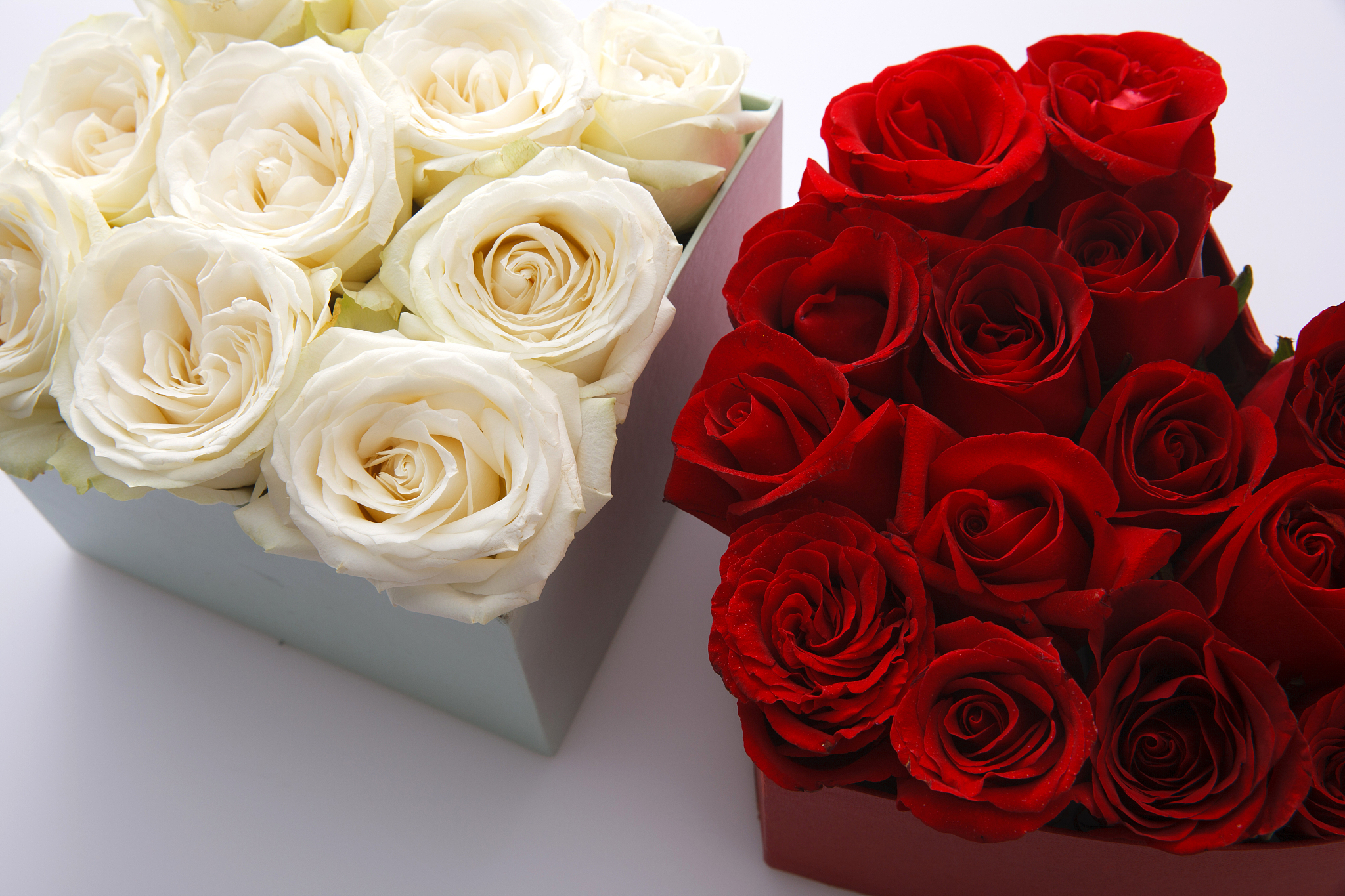 请以这段文案为模板进行仿写文案是：这是我今生第一次给爸爸买花他抱着黄色的玫瑰一脸惊诧他说这于理不合我说别急让他送给我妈那天的风把浪漫送回了三十年前他们相遇的那晚回家后爸爸把花瓶里插满了玫瑰妈妈取出几枝 说不能由着它枯萎她烘干了花瓣塞进了香囊给了爸爸妈妈说不能把爱都困在花瓶我说对要跟着心上人如影随形。文案公式：反差+参照物／人+场景+情感共鸣