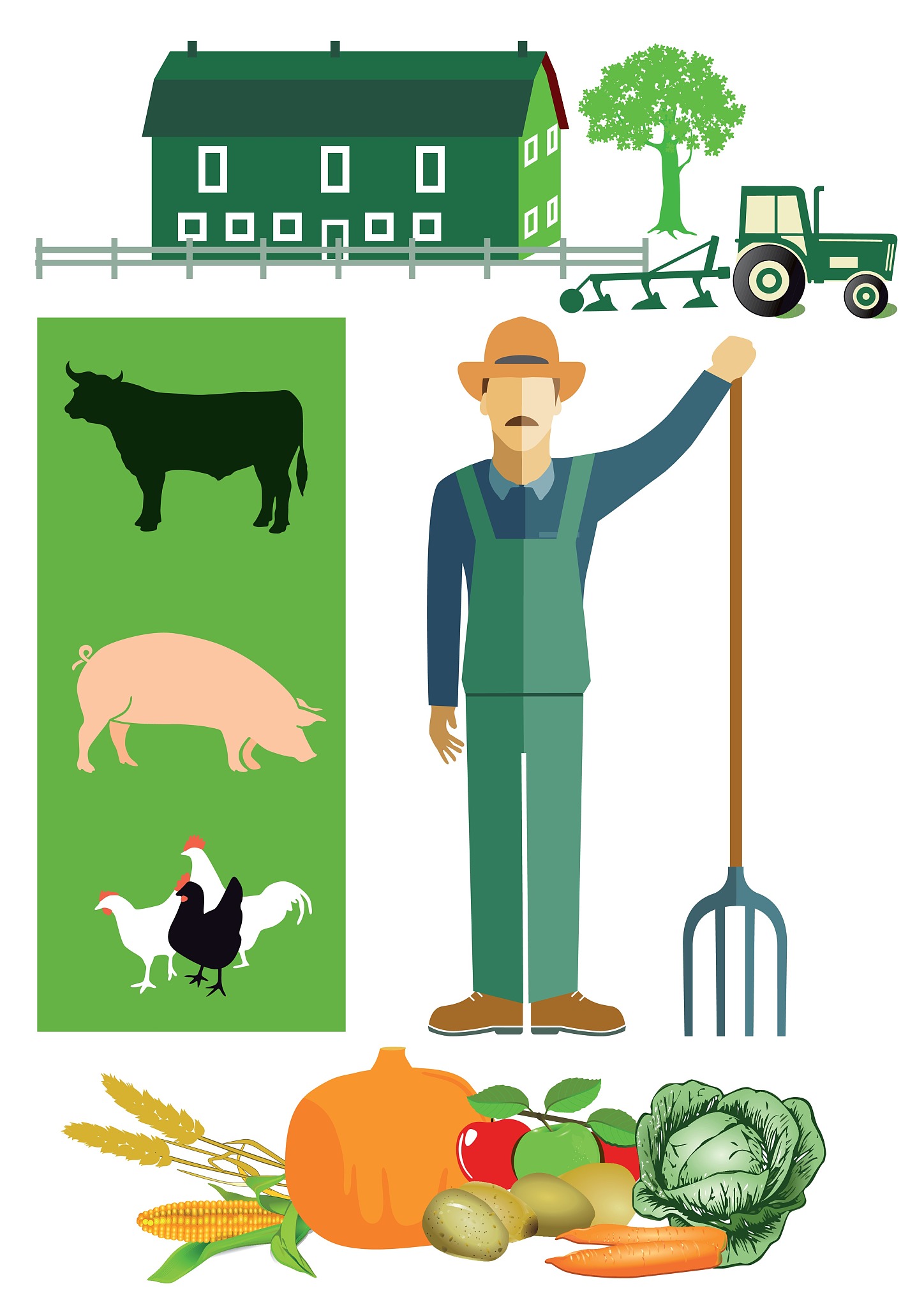 Agriculture: Definition, Importance, Practices & Challenges