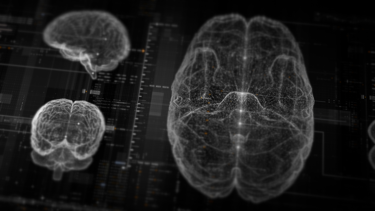 Frontiers in Human Neuroscience: 涵盖认知、神经影像、神经工程等领域 - 开放获取期刊