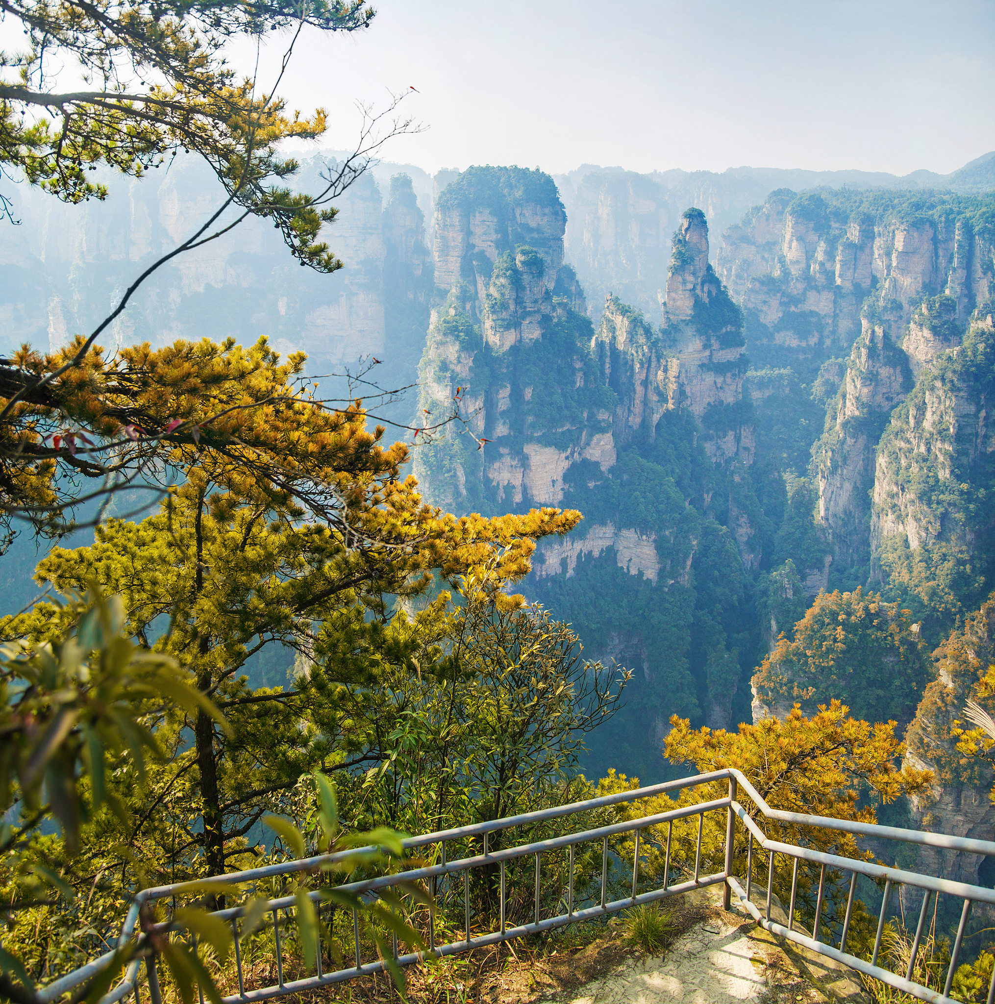 张家界航空工业职业技术学院旅游管理专业好就业吗