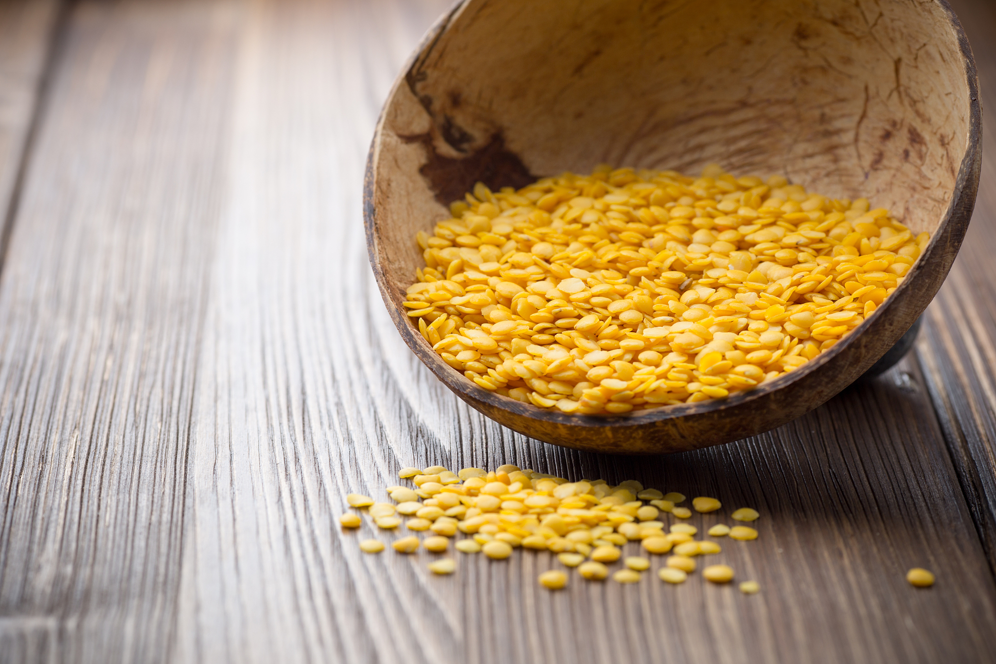 lentil.