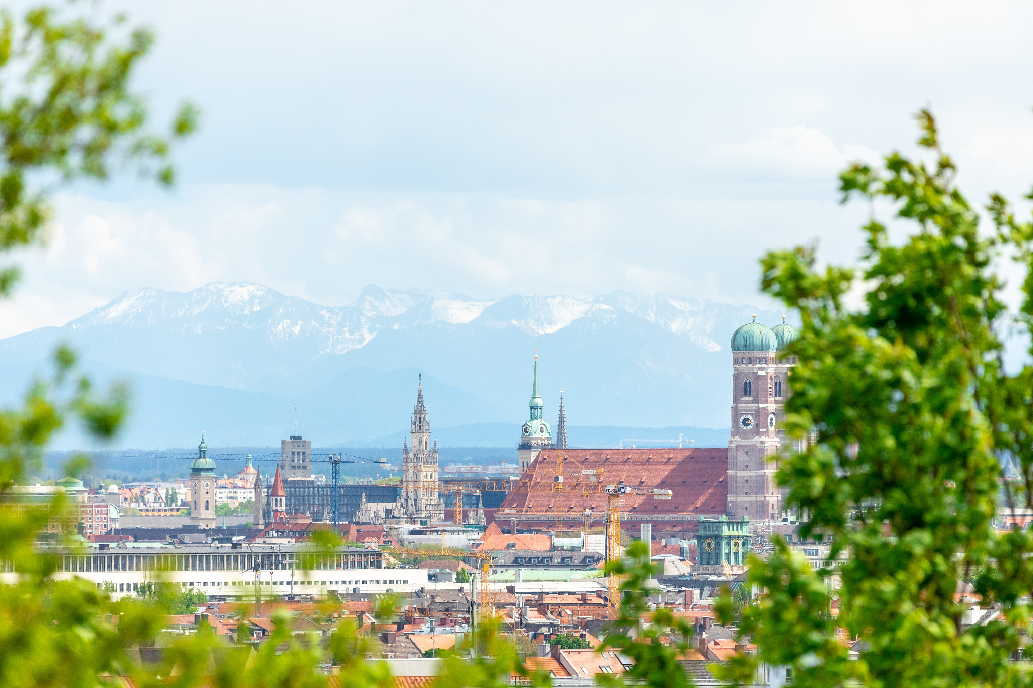 view through trees over the city of munich and the frauenkirche.