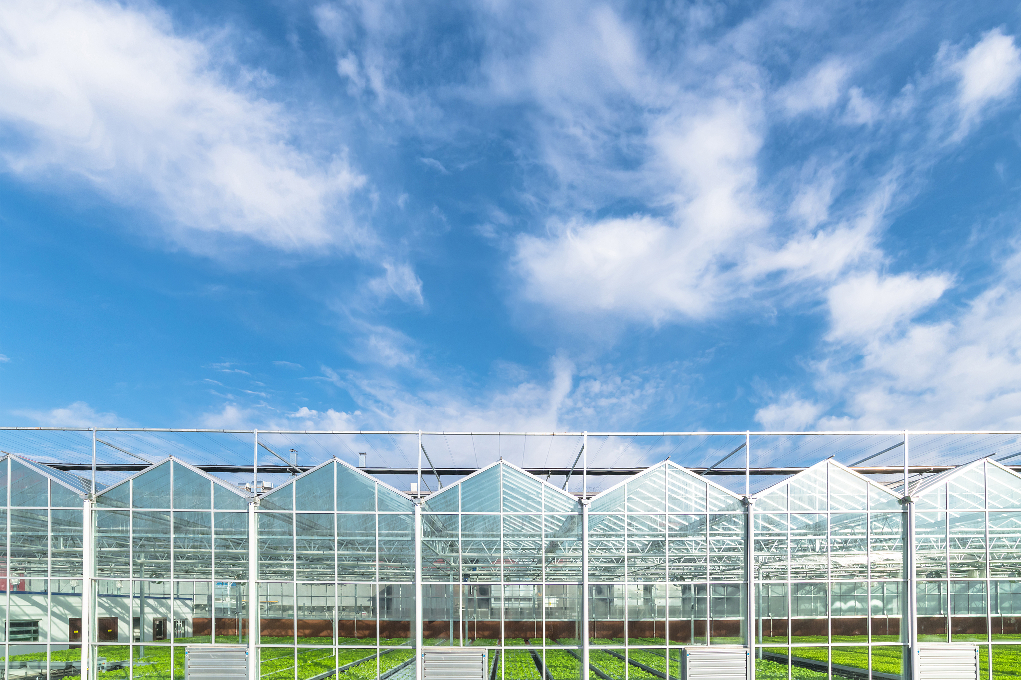 我国在现代日光温室及其配套工程技术和生产设施等方面发展日趋成熟