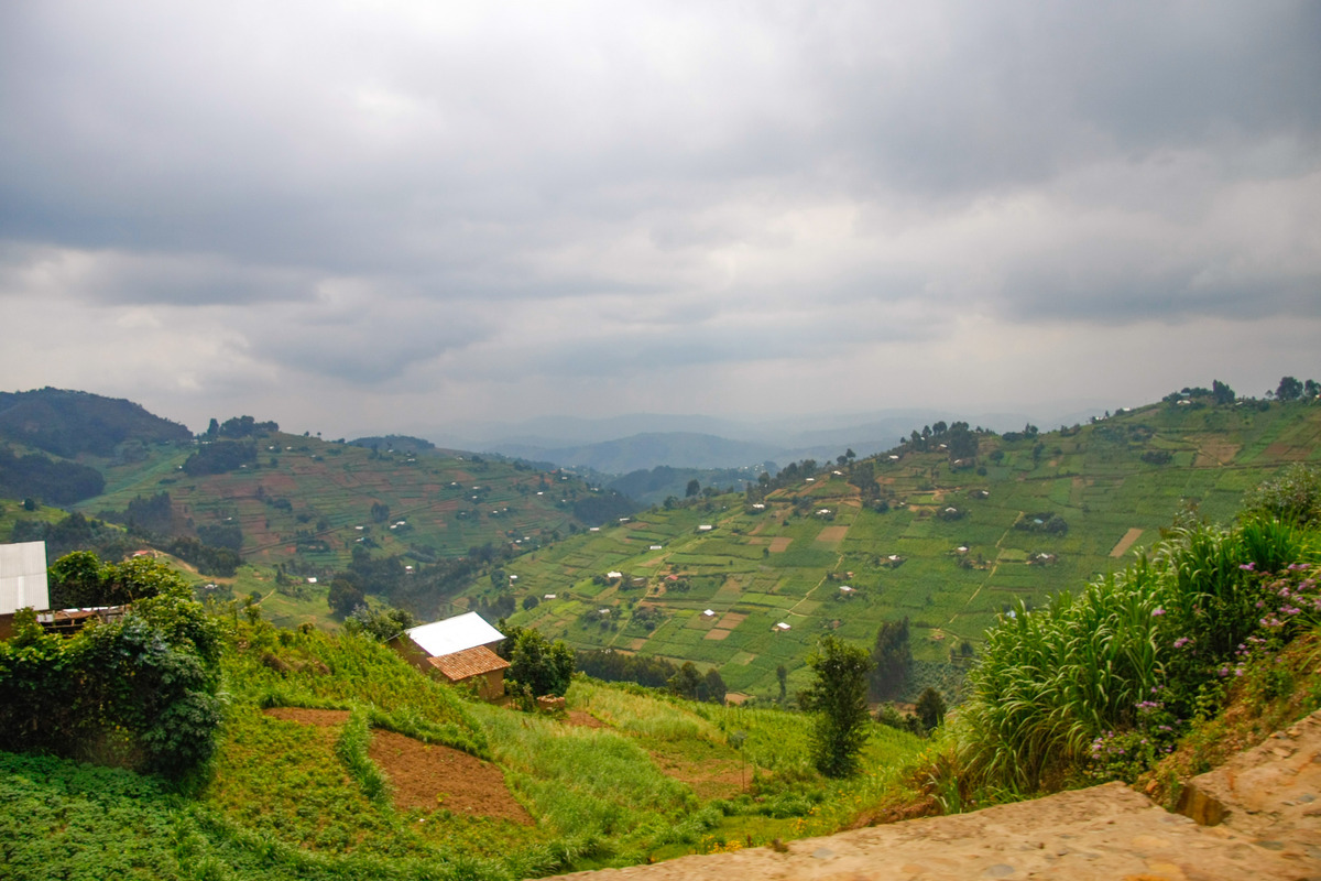 湘西自治州：武陵山区、秦巴山区贫困人口分布及主要县城