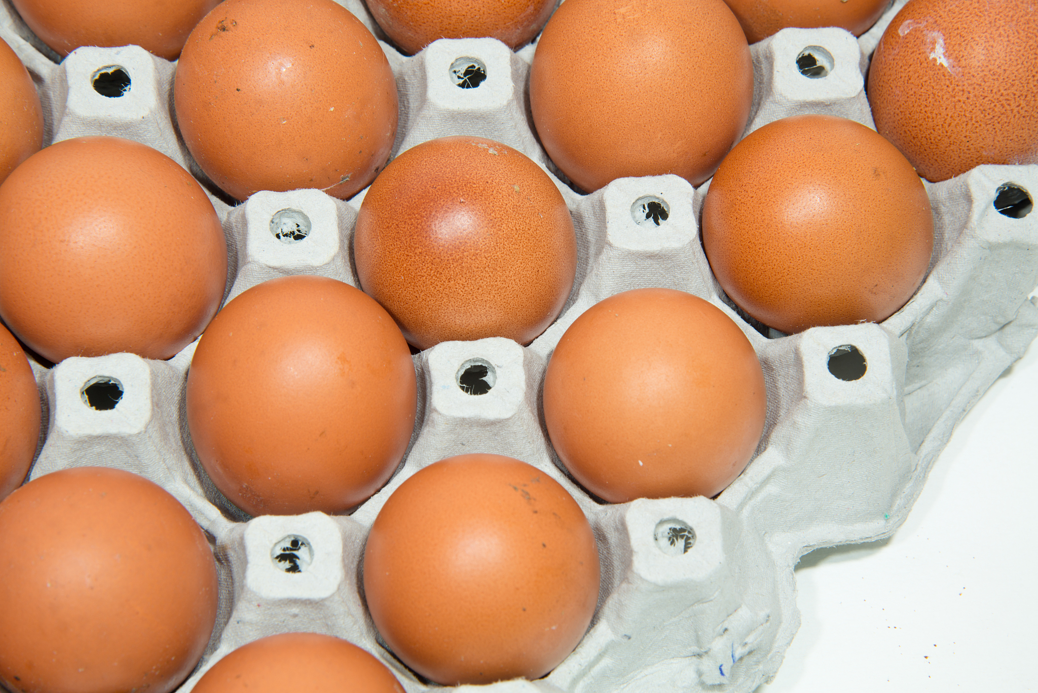 用英文表述Effect of Lighting and Photoperiod on Chicken Egg Production and Quality的研究发现了什么结论