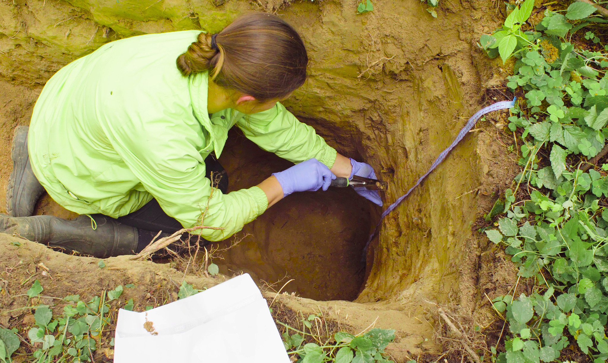 福建有生物专业的有哪些 生物好就业吗