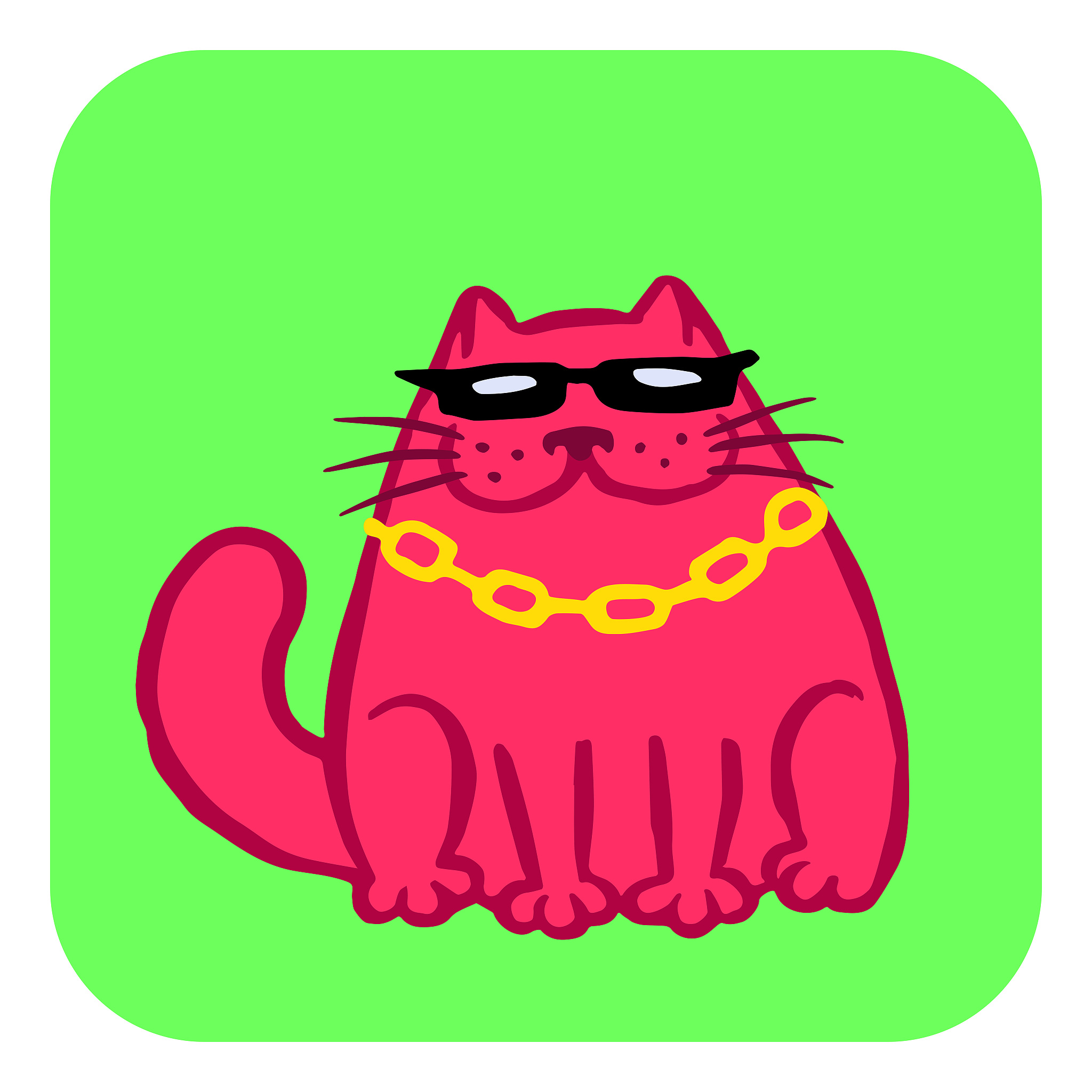 小猫银子说唱：我，猫界传奇之星！