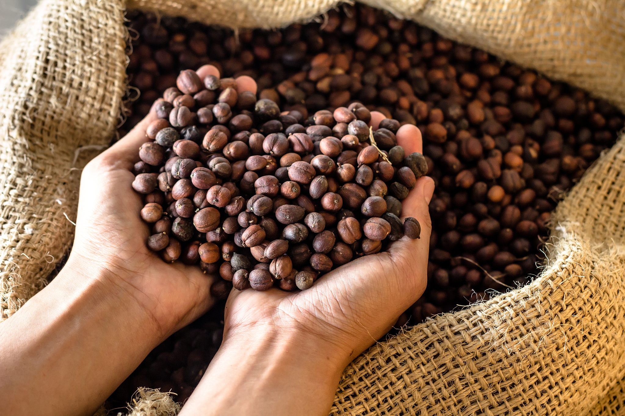 咖啡生豆烘焙需要注意什么