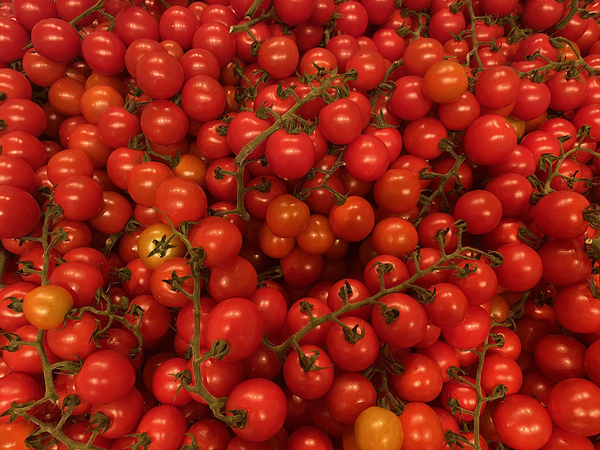 抑制食欲的草药和天然植物成分靠谱吗？