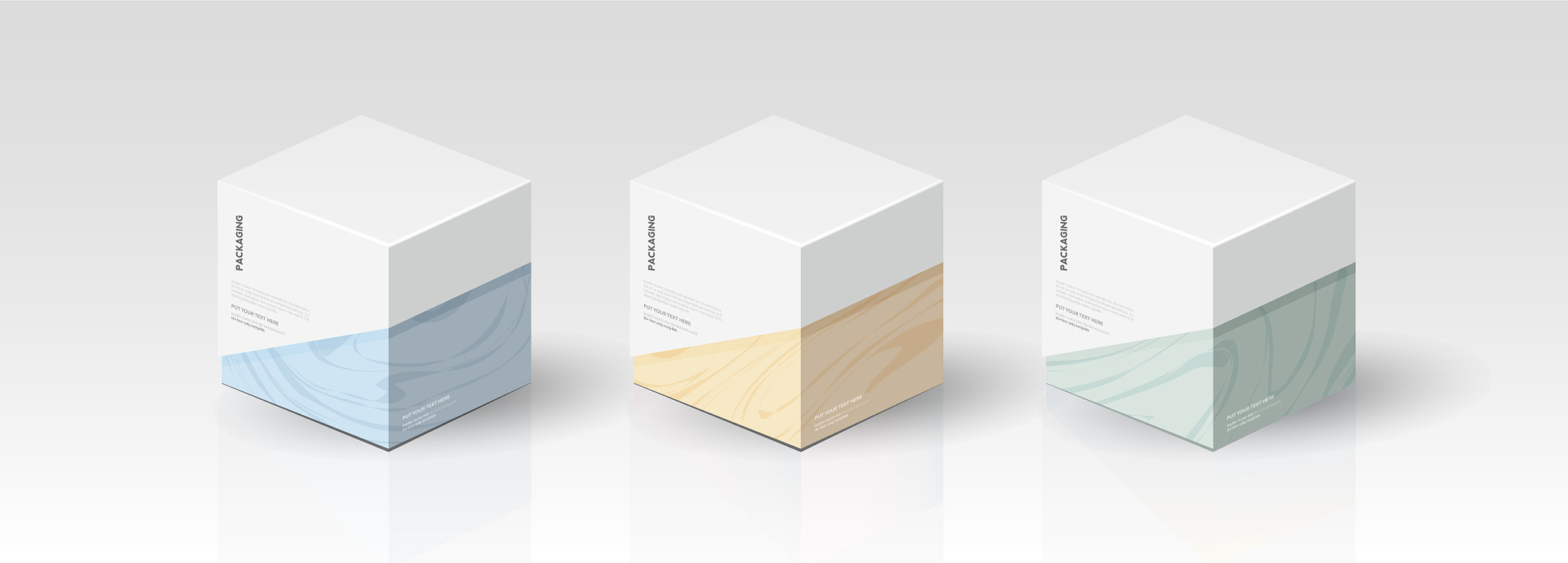 box packaging template for product design