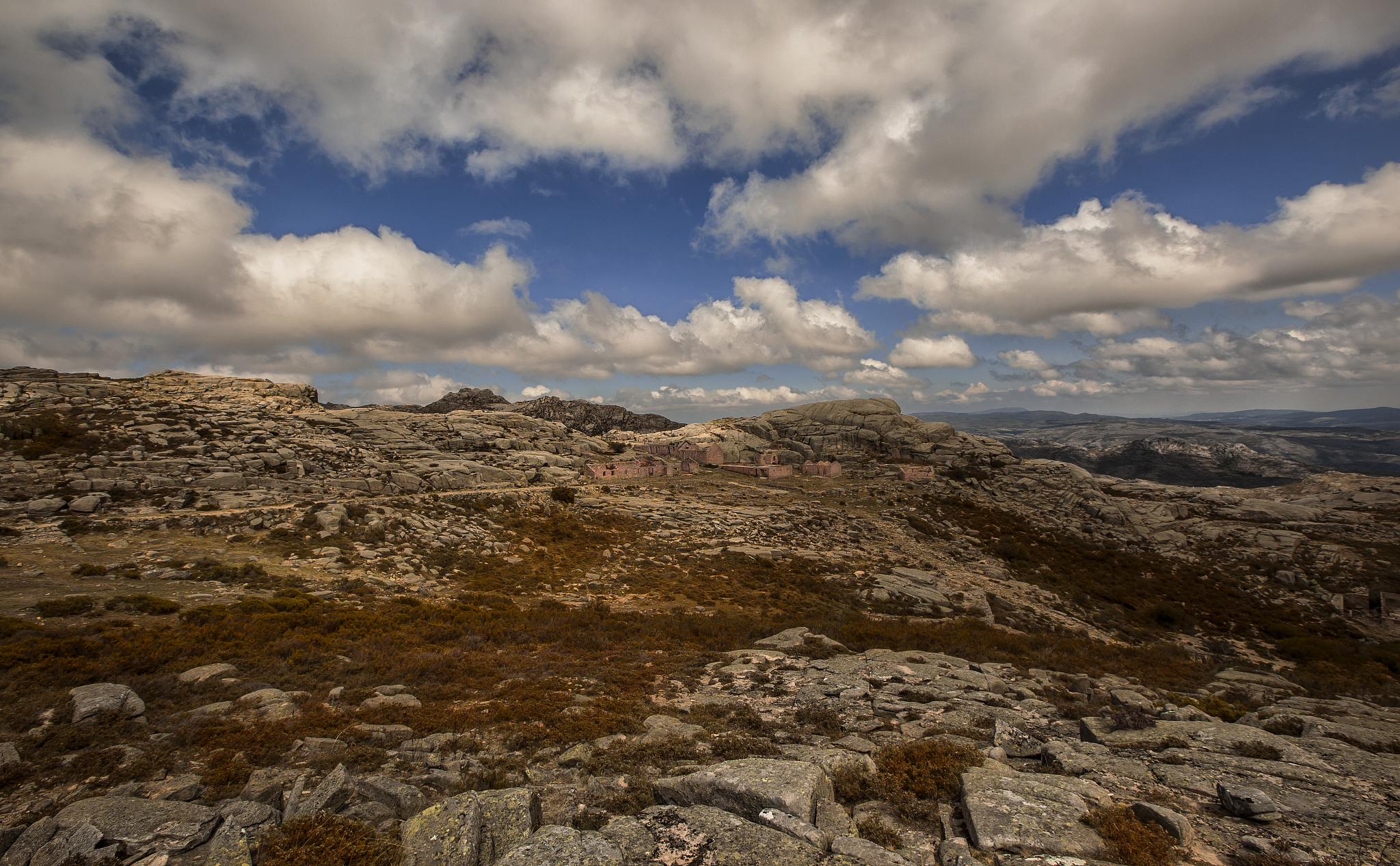 大学信息管理系统：功能菜单与代码实现