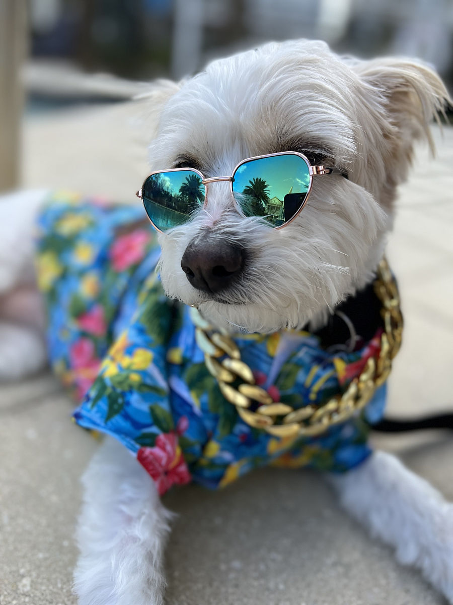 手机酷狗怎么设置环绕音效 操作步骤帮我用200字详细描述