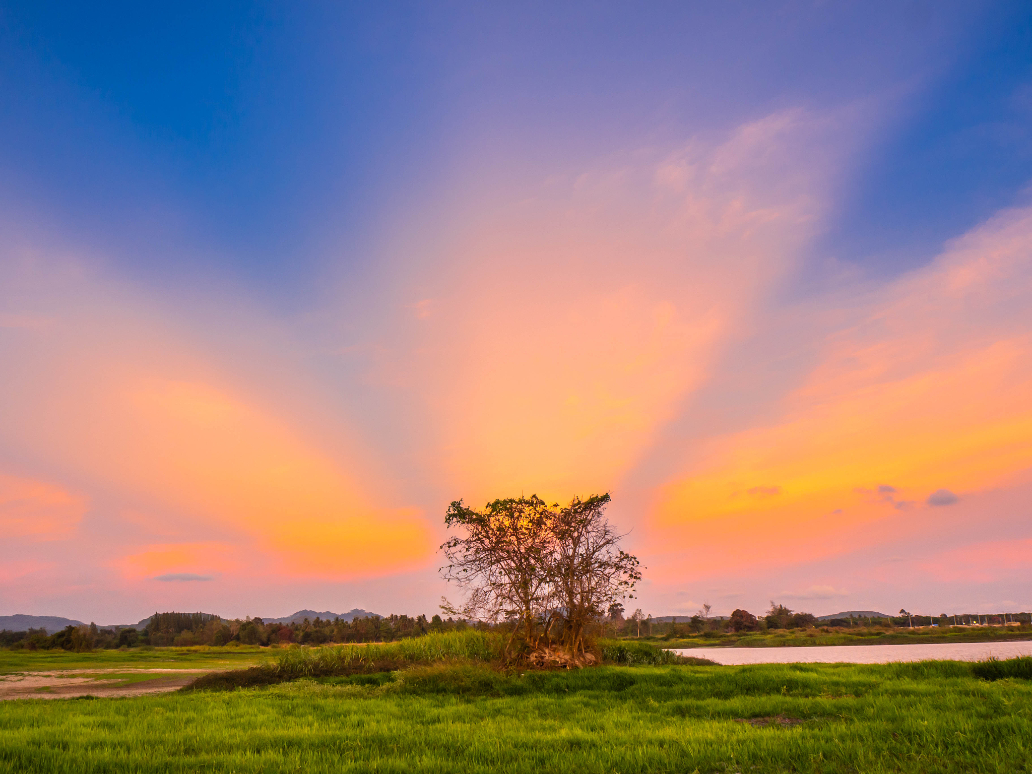 夕阳美景：描绘金辉下的田野、柳树与山丘