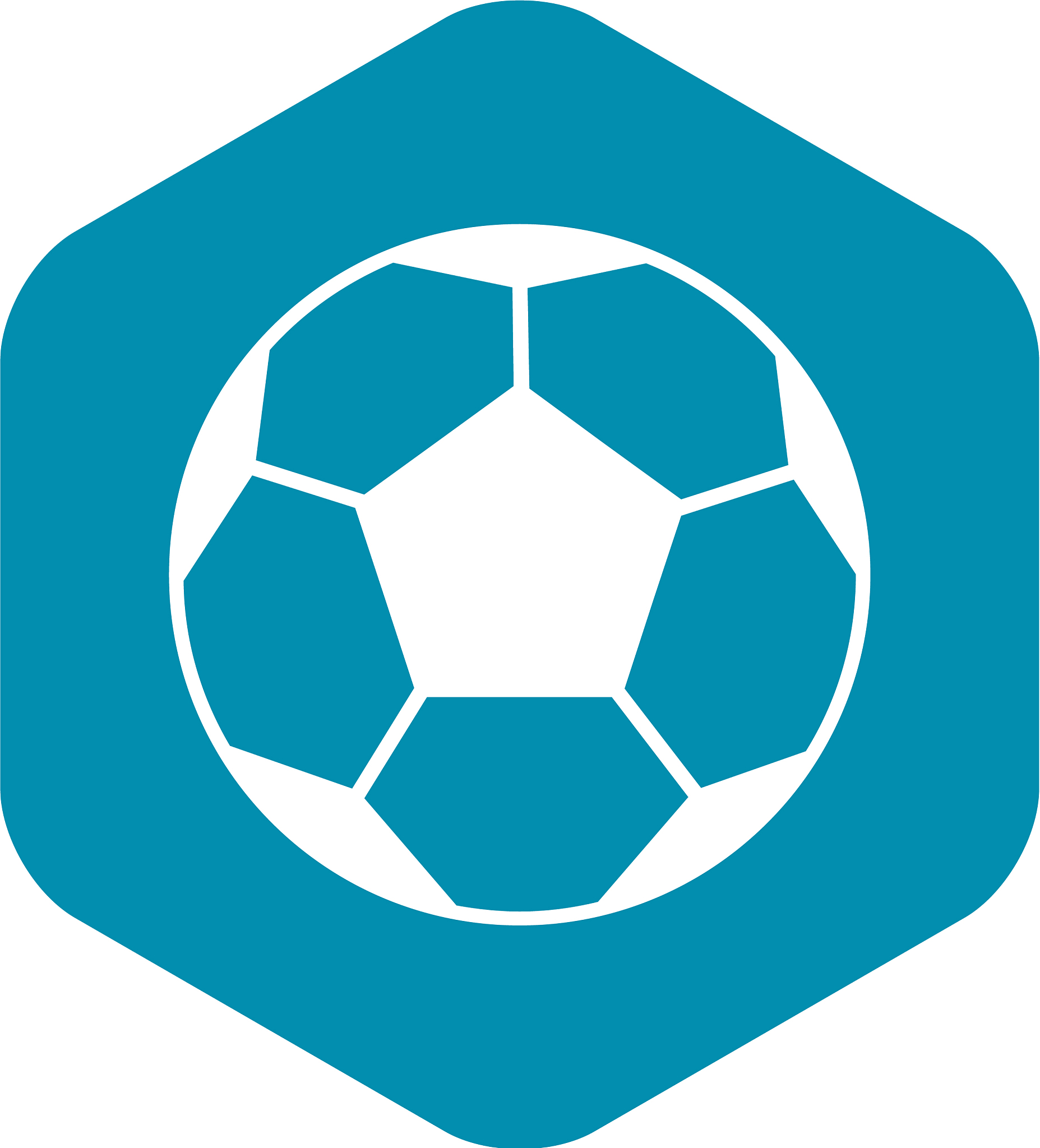 soccer ball icon simple style