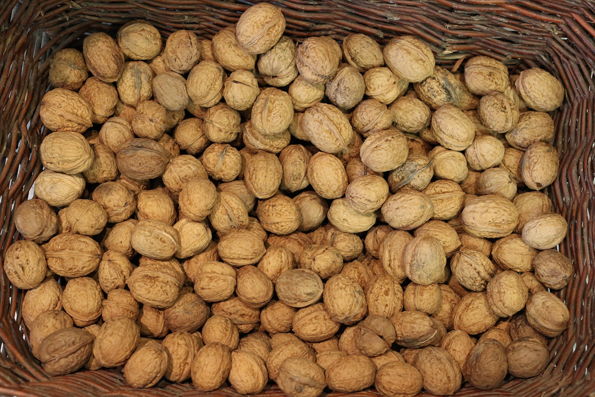 河南质量工程职业学院食品营养与检测专业怎么样