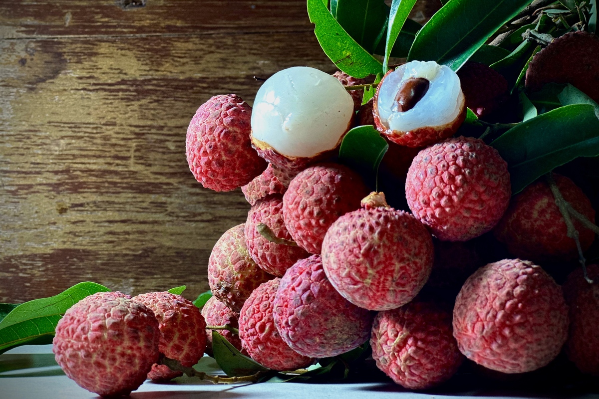 荔枝果实的类型