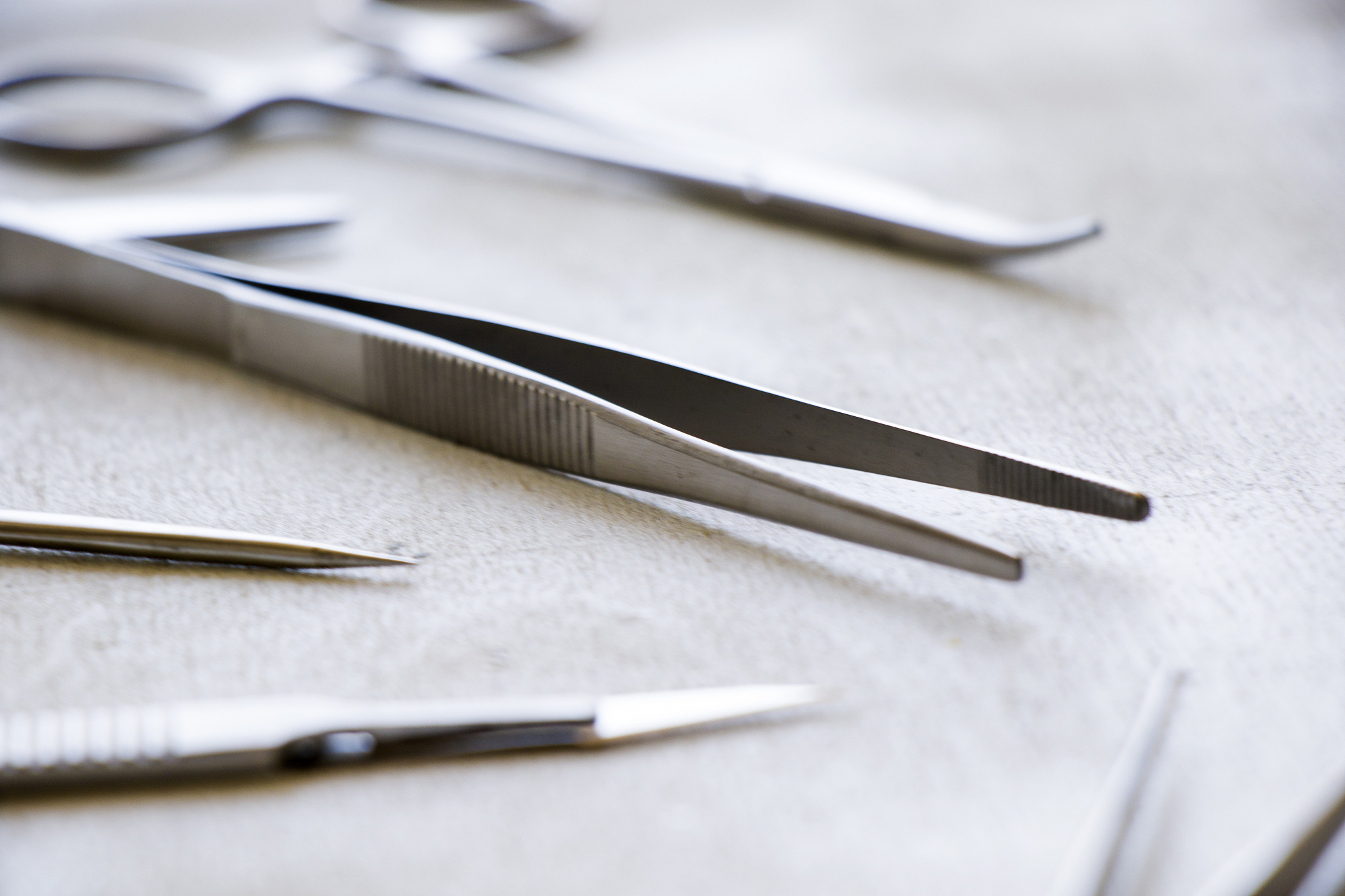 山东济南海洋畜牧兽医专修学院2019年招生专业有哪些？