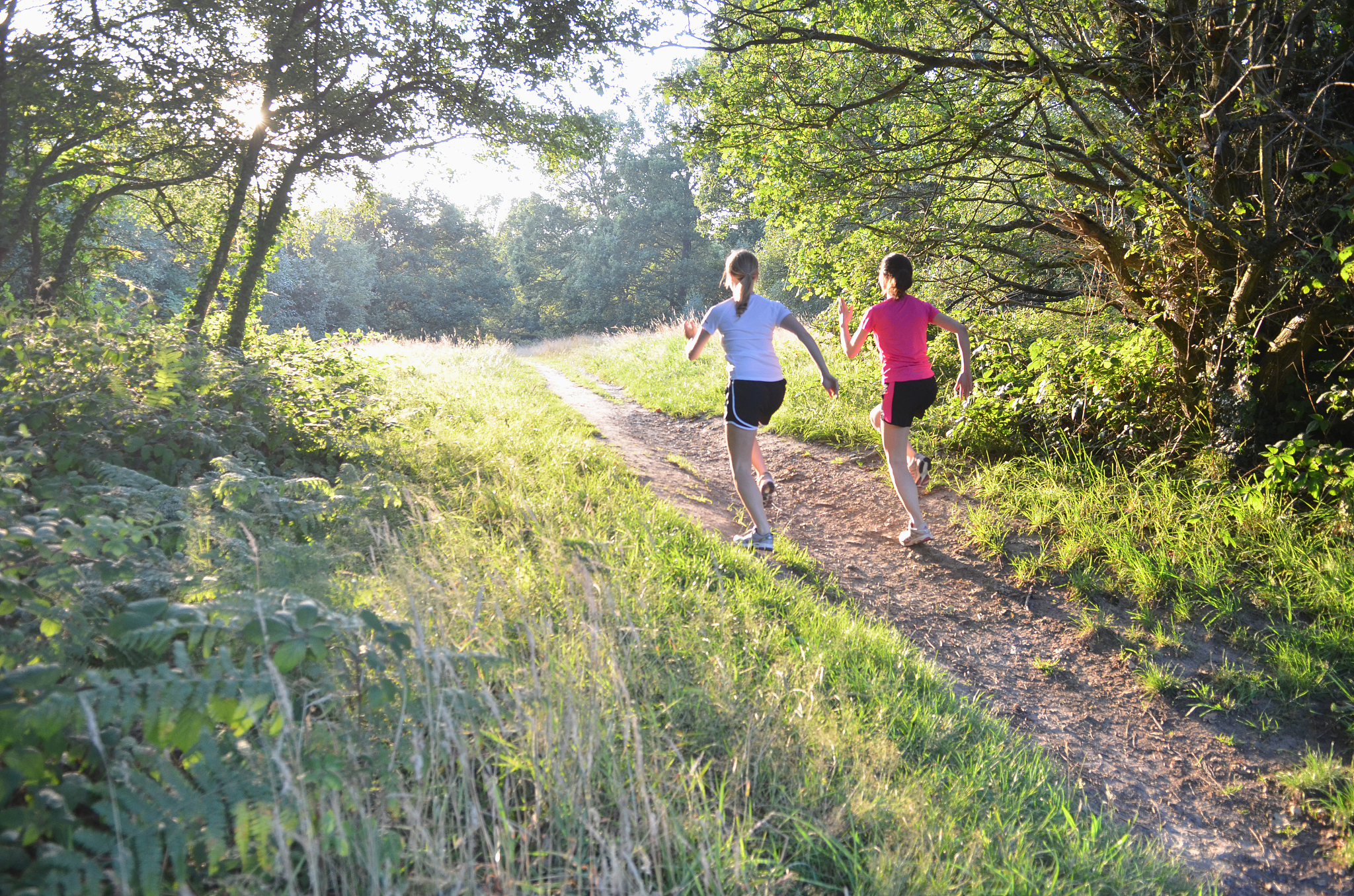 了解大众眼中的徒步运动。徒步运动是什么有哪些类别