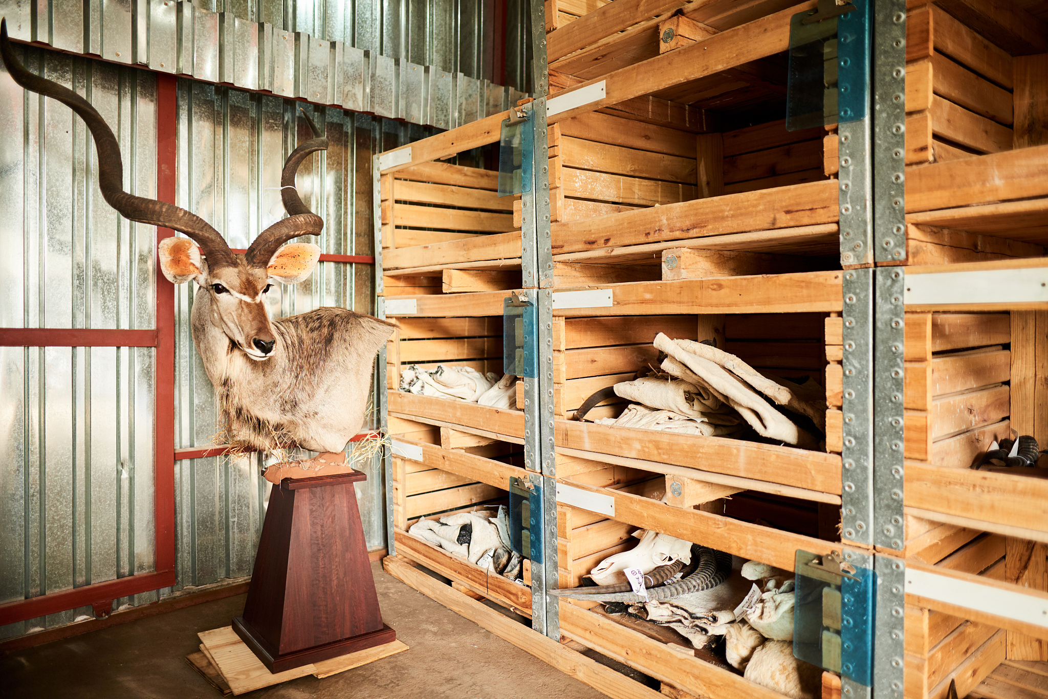 熊本熊寻腮红事件