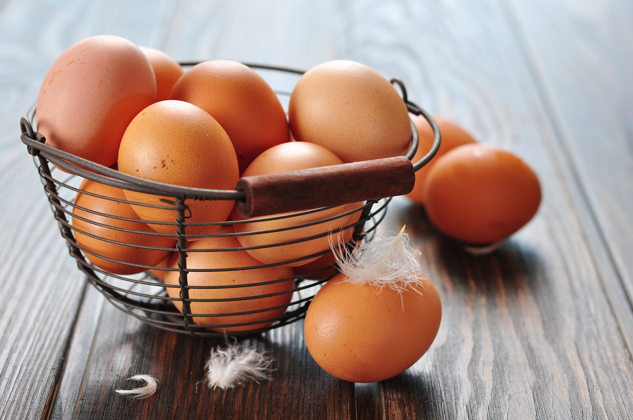 fresh eggs