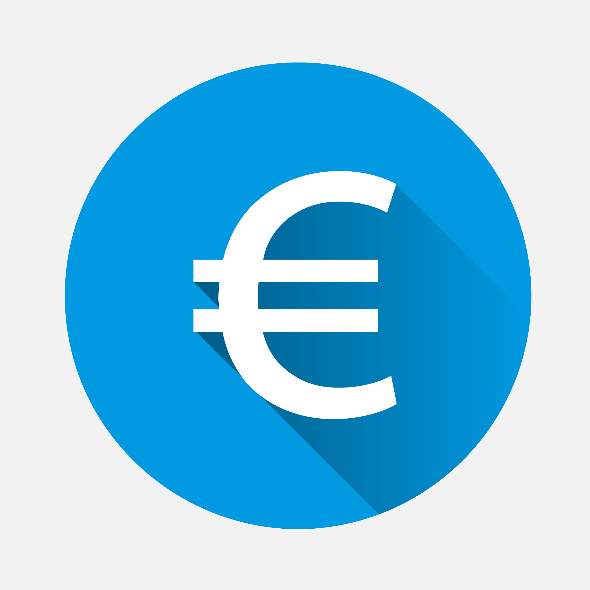 image euro sign on blue background flat