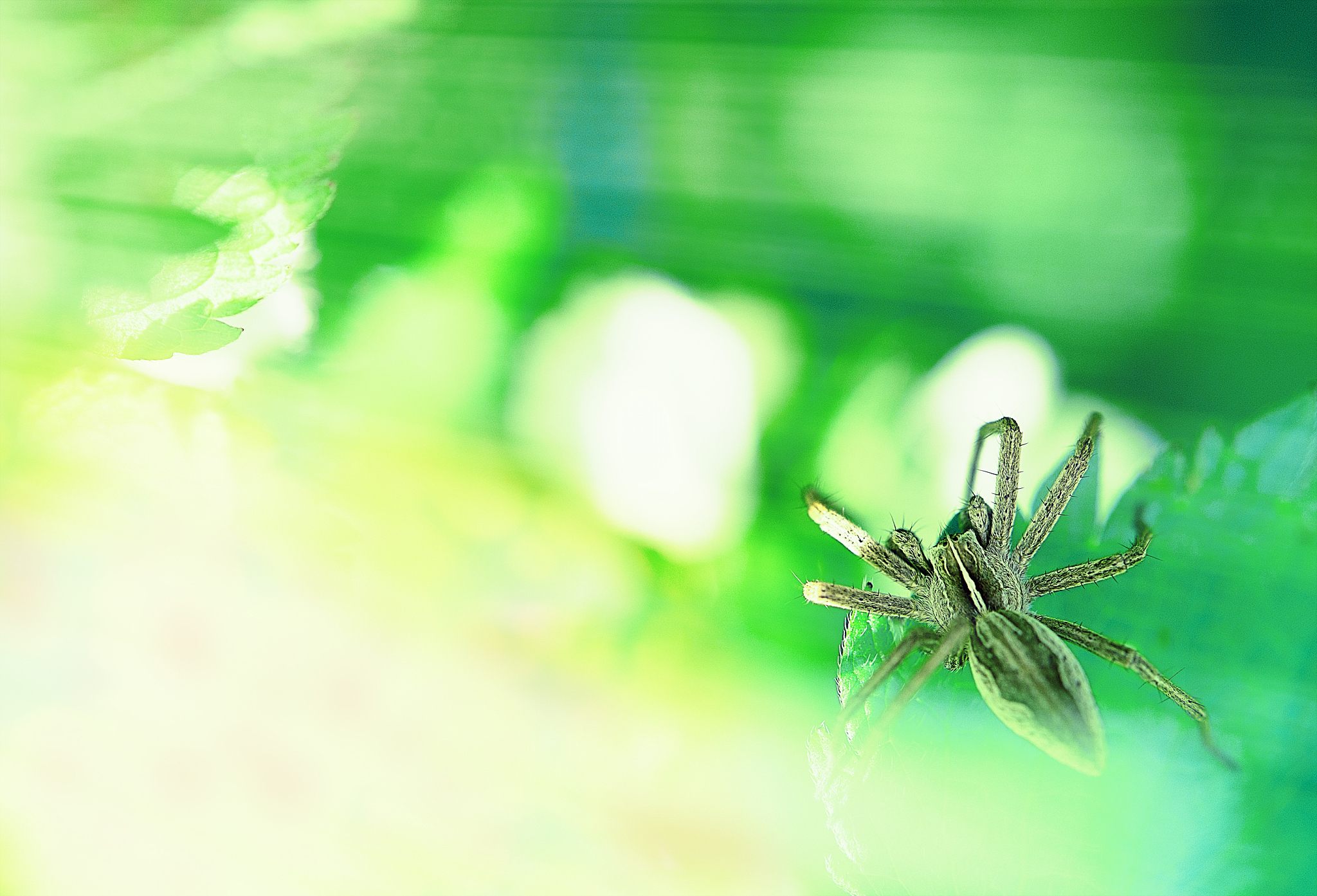 得荣幼儿师范学校招生简介 - 培养优秀幼儿教师