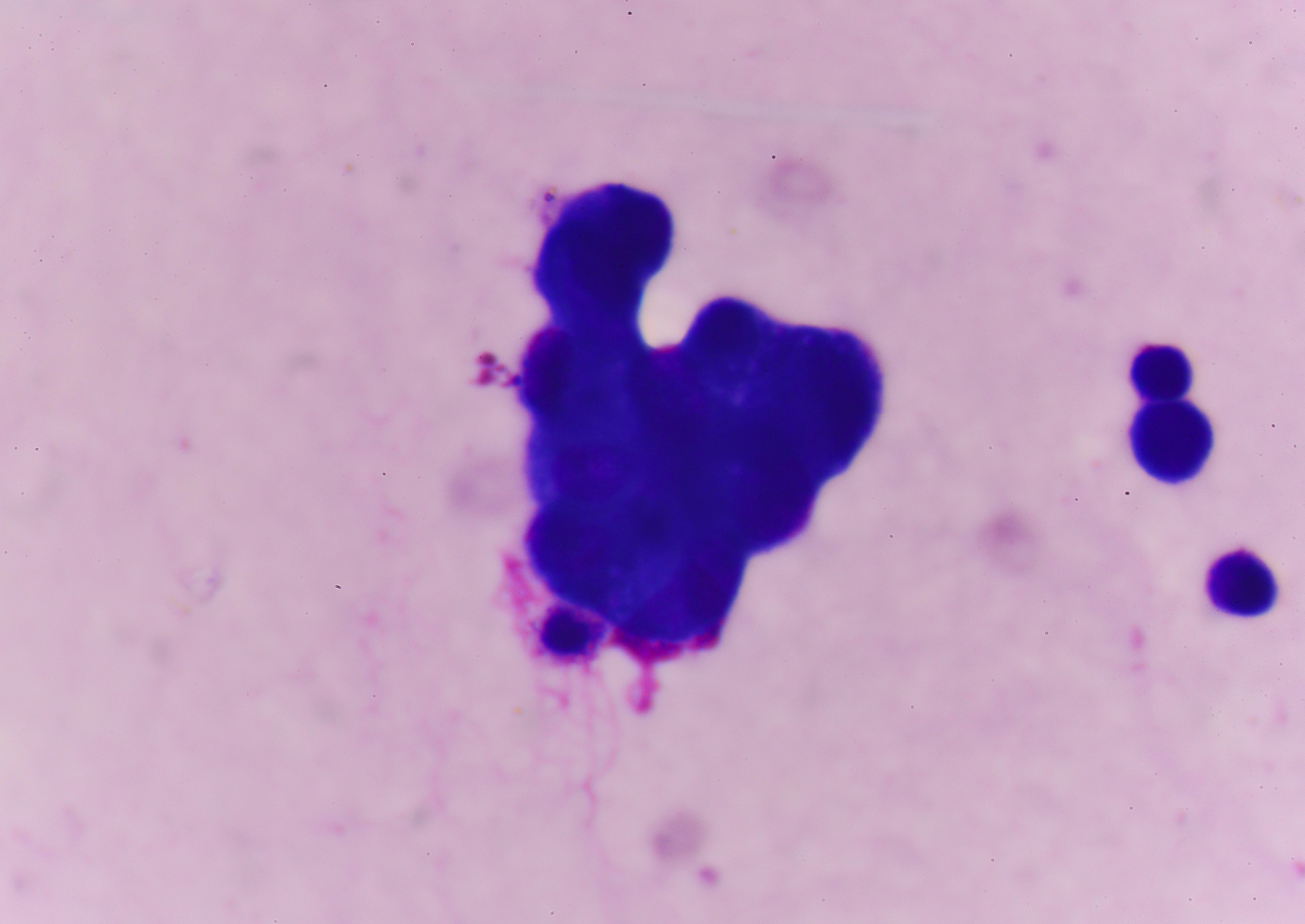 广东金融学院保险学专业怎么样