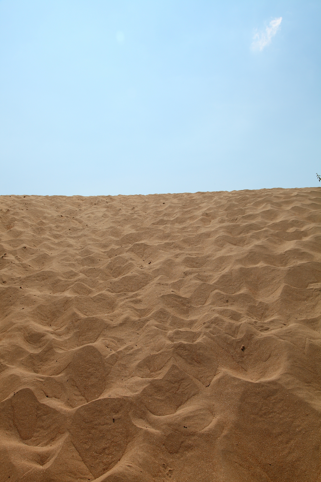 yellow sand and clear sky