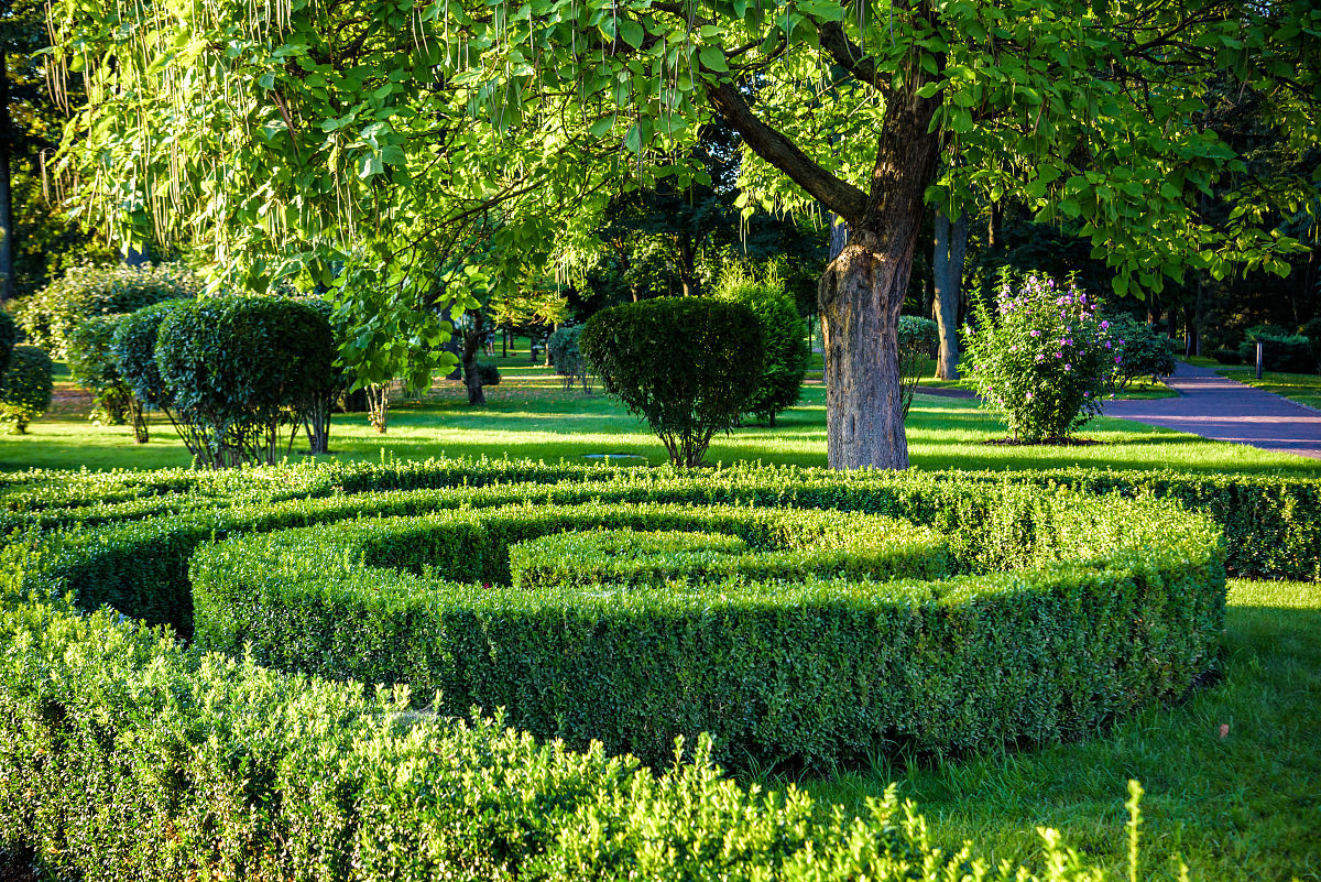 土木元素攻击技能设定：地震、飞弹、陷阱，打造你的玄幻战斗体系