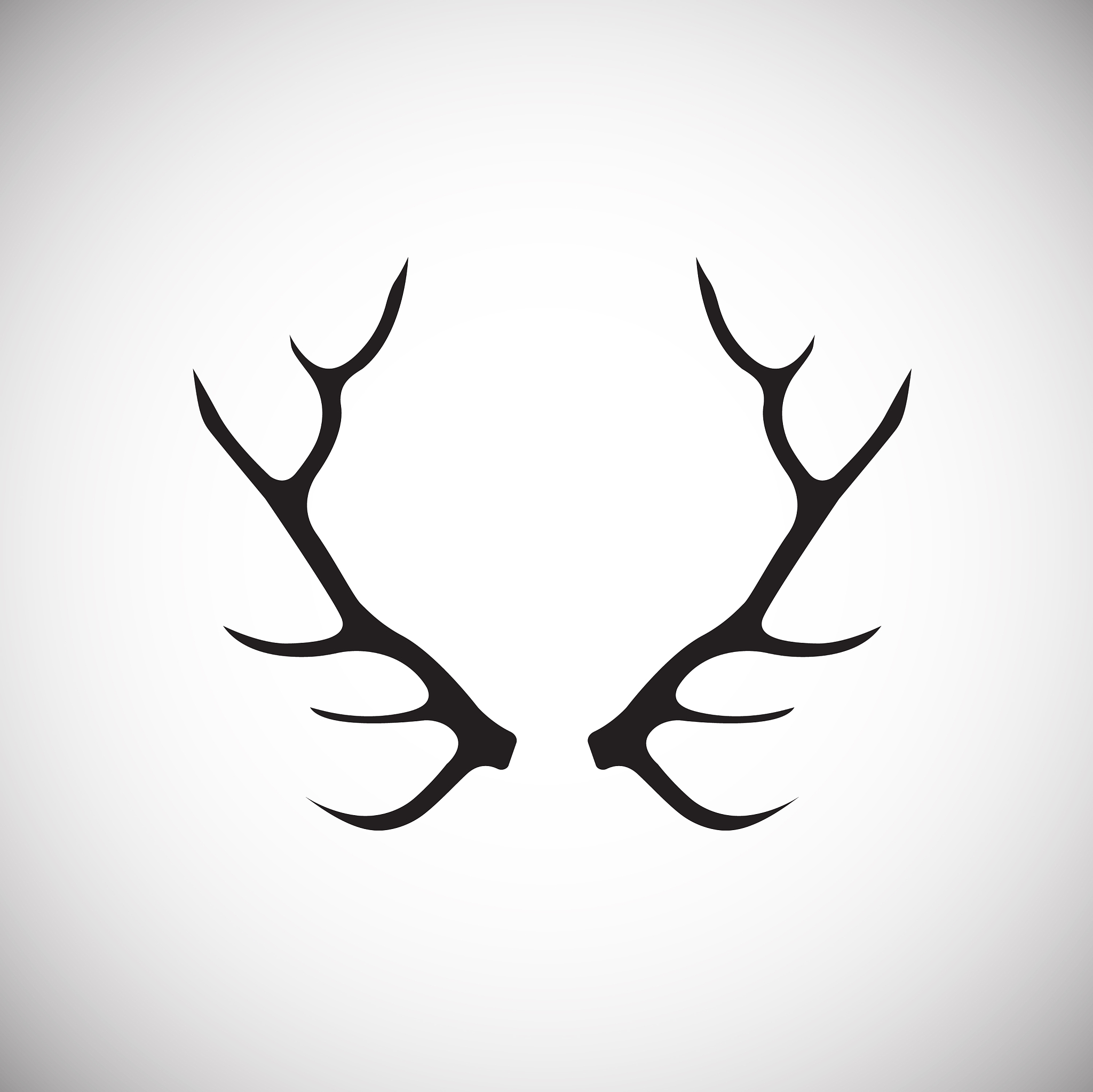 男男关系中 什么是通讯鹿