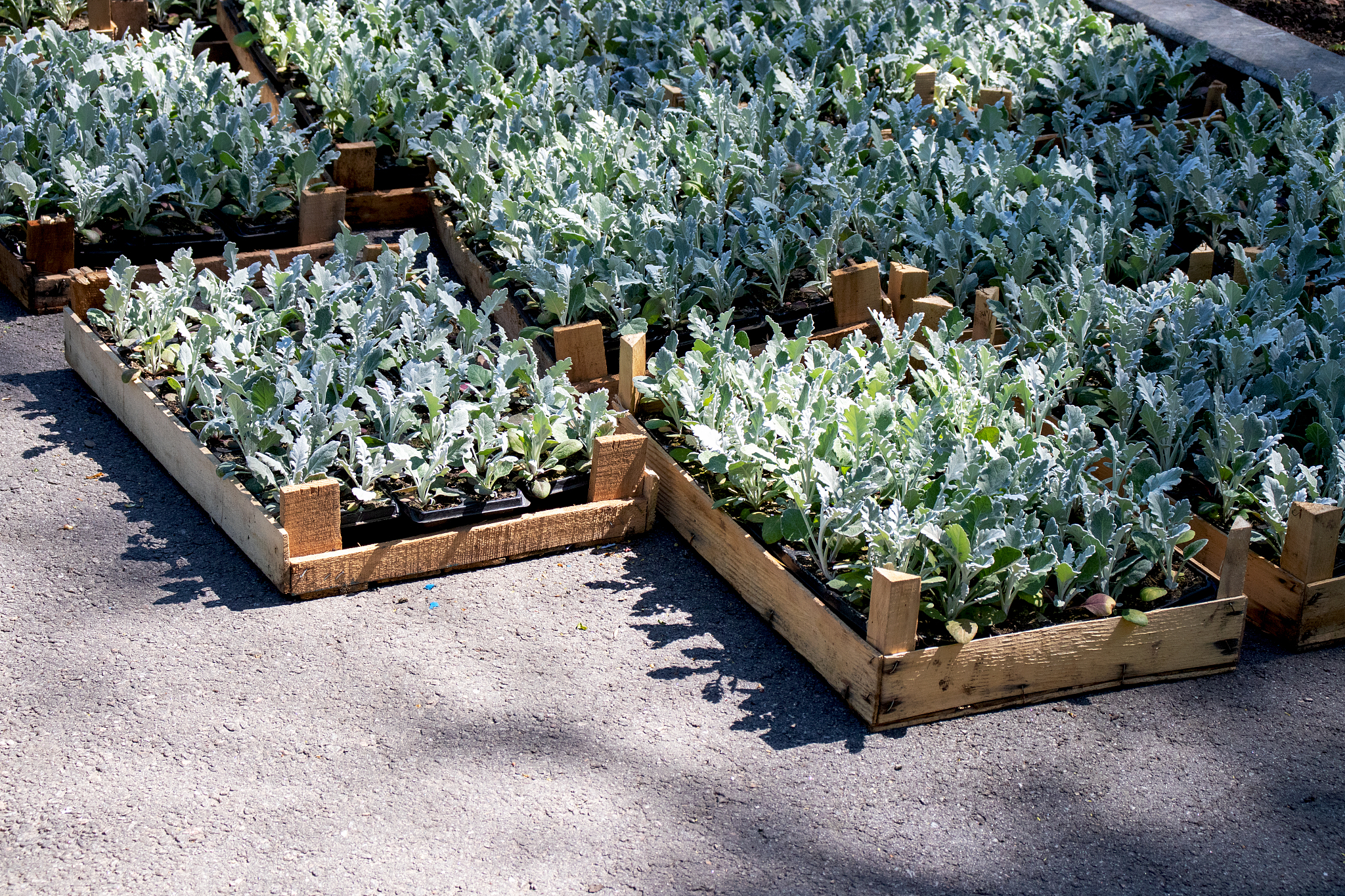 Planters & Raised Beds: Gardening Solutions for Every Space