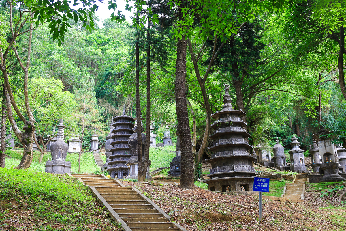富顺县旅游攻略：必玩景点推荐！