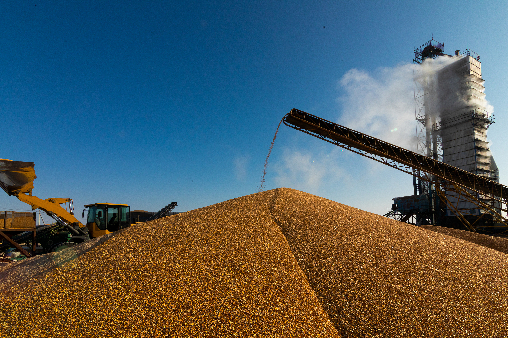 粮食物资储备项目：国家经济、安全和人民生活的保障