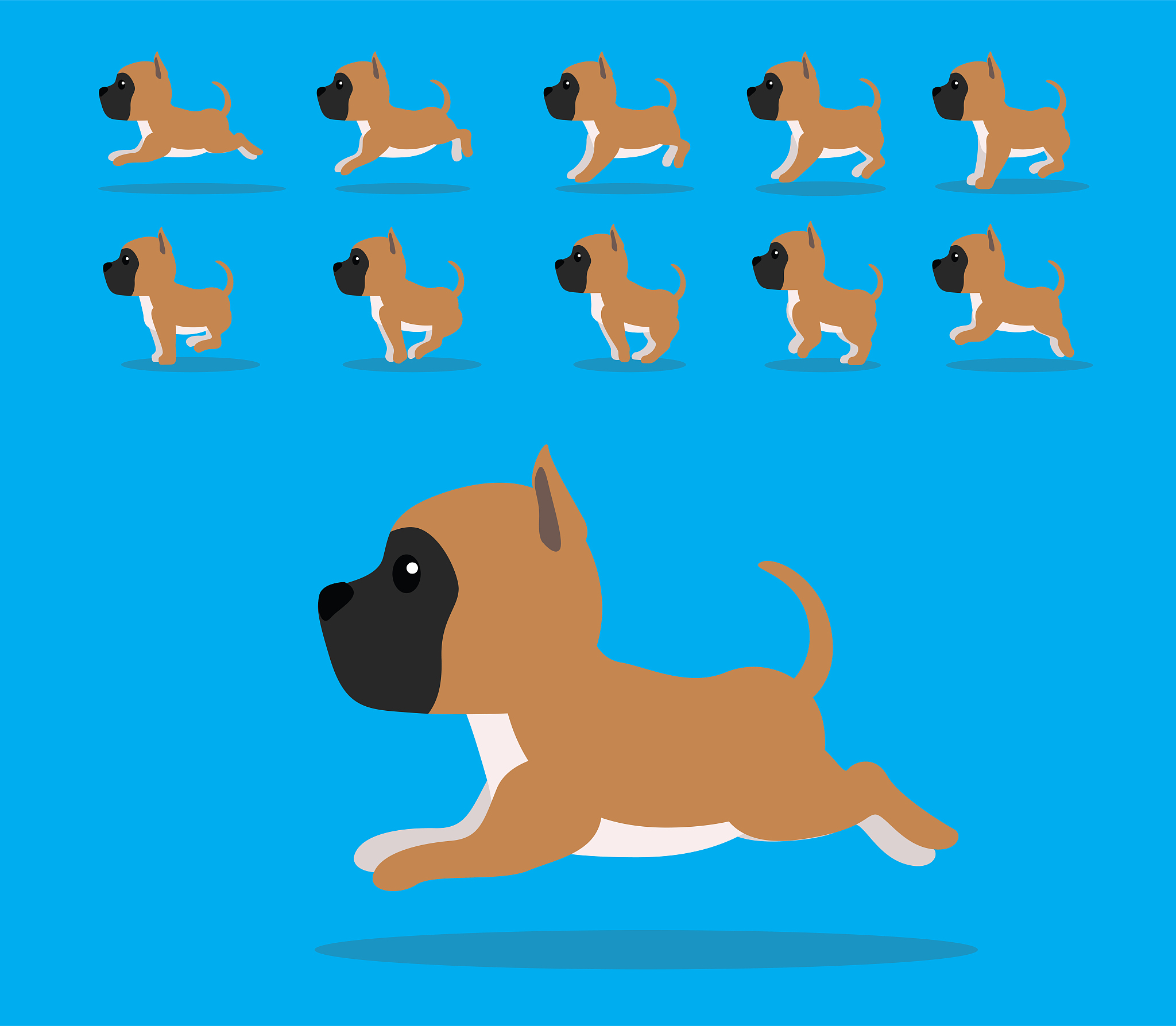 write a motivation letter that about the animation visual art for the professor of Phd