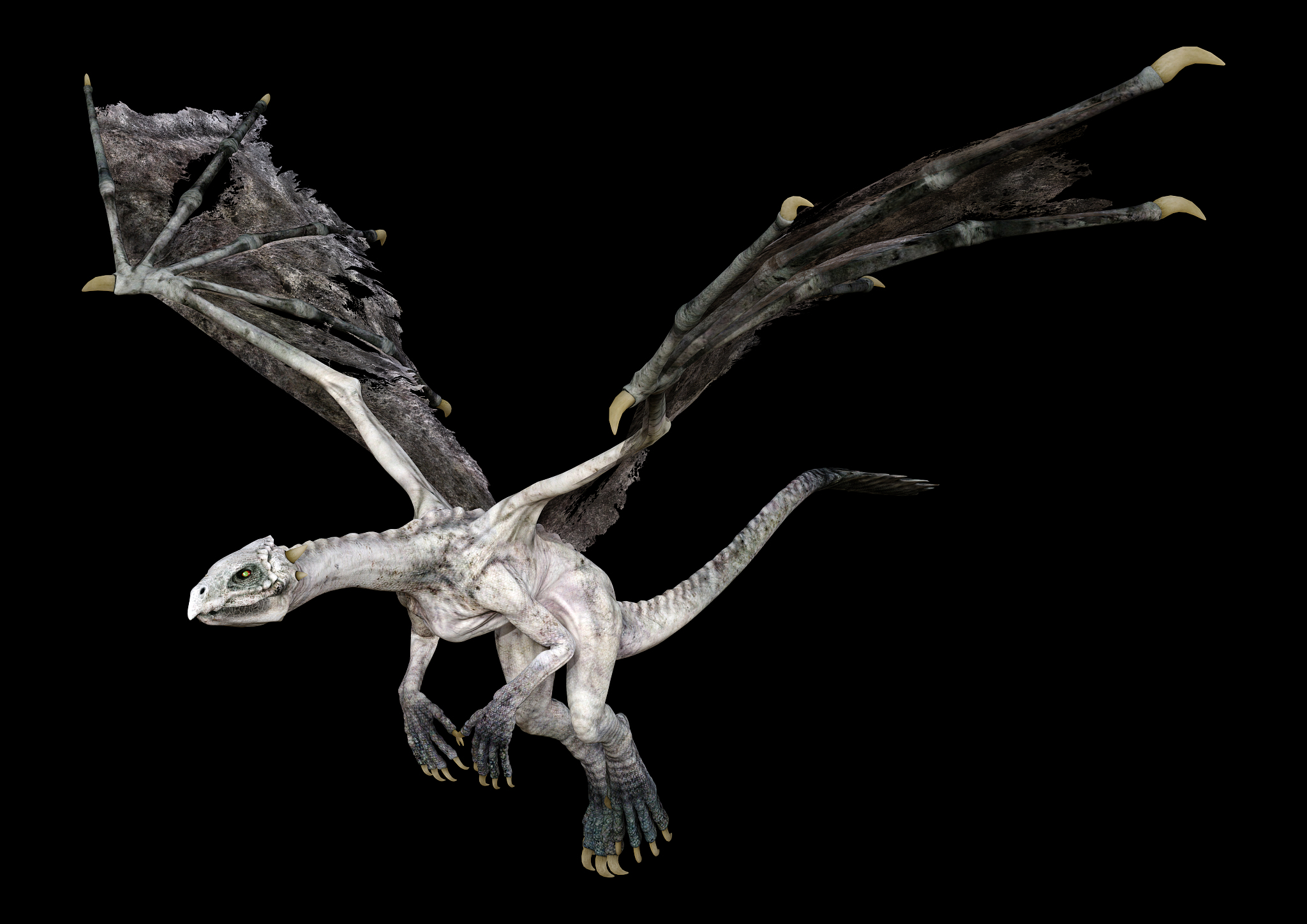 3d illustration fantasy dragon on black